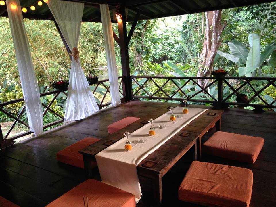 Our Jungle House