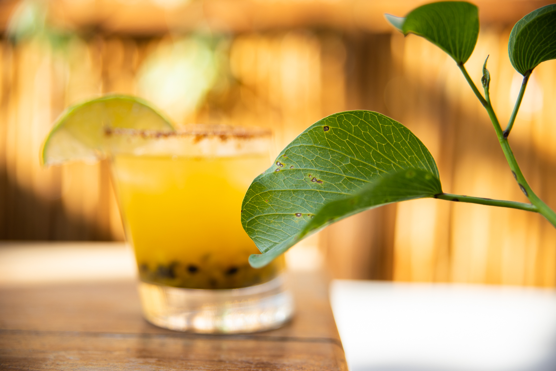 Aroma Tulum by null