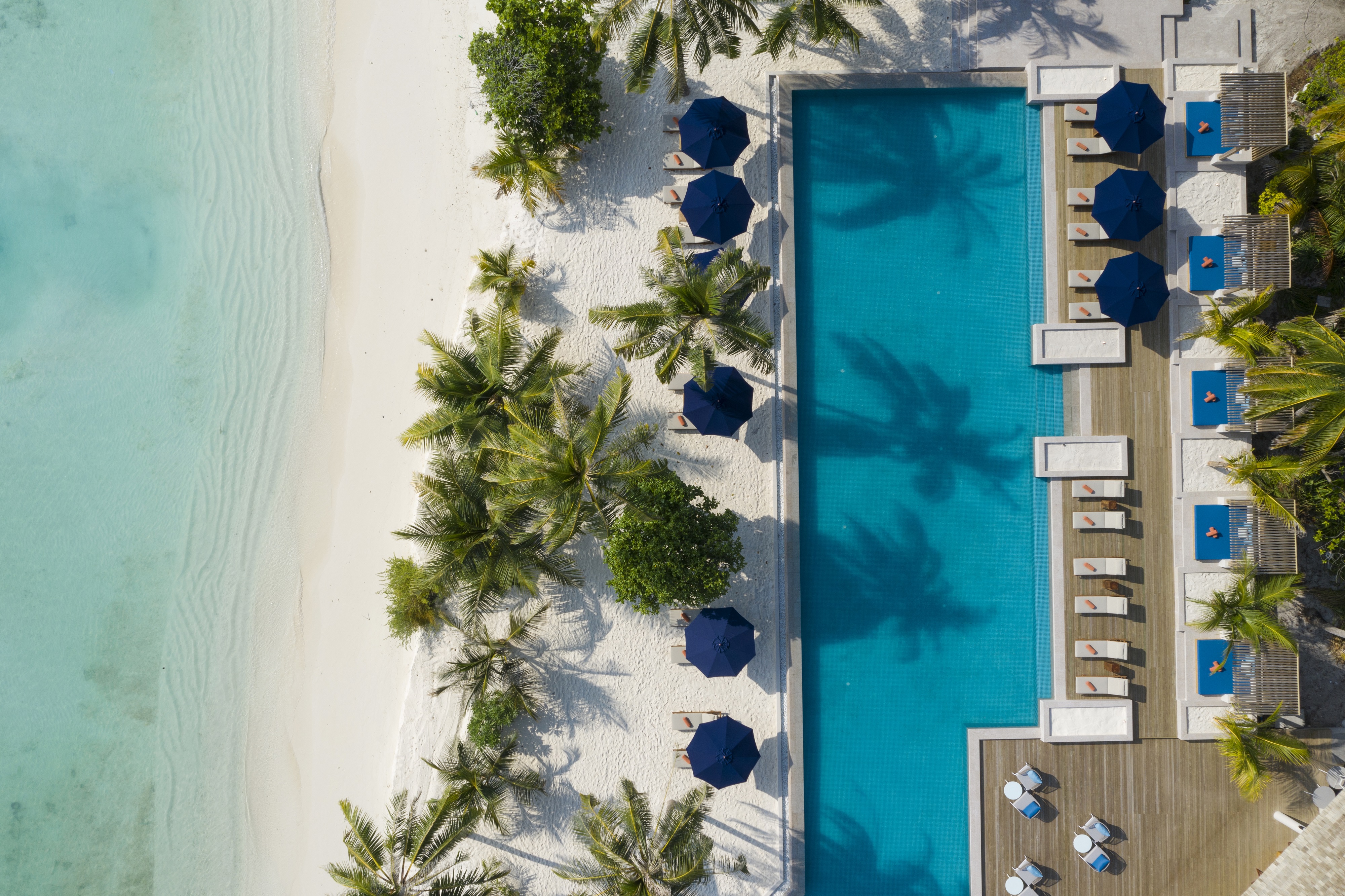 Faarufushi Resort island的照片 酒店区域