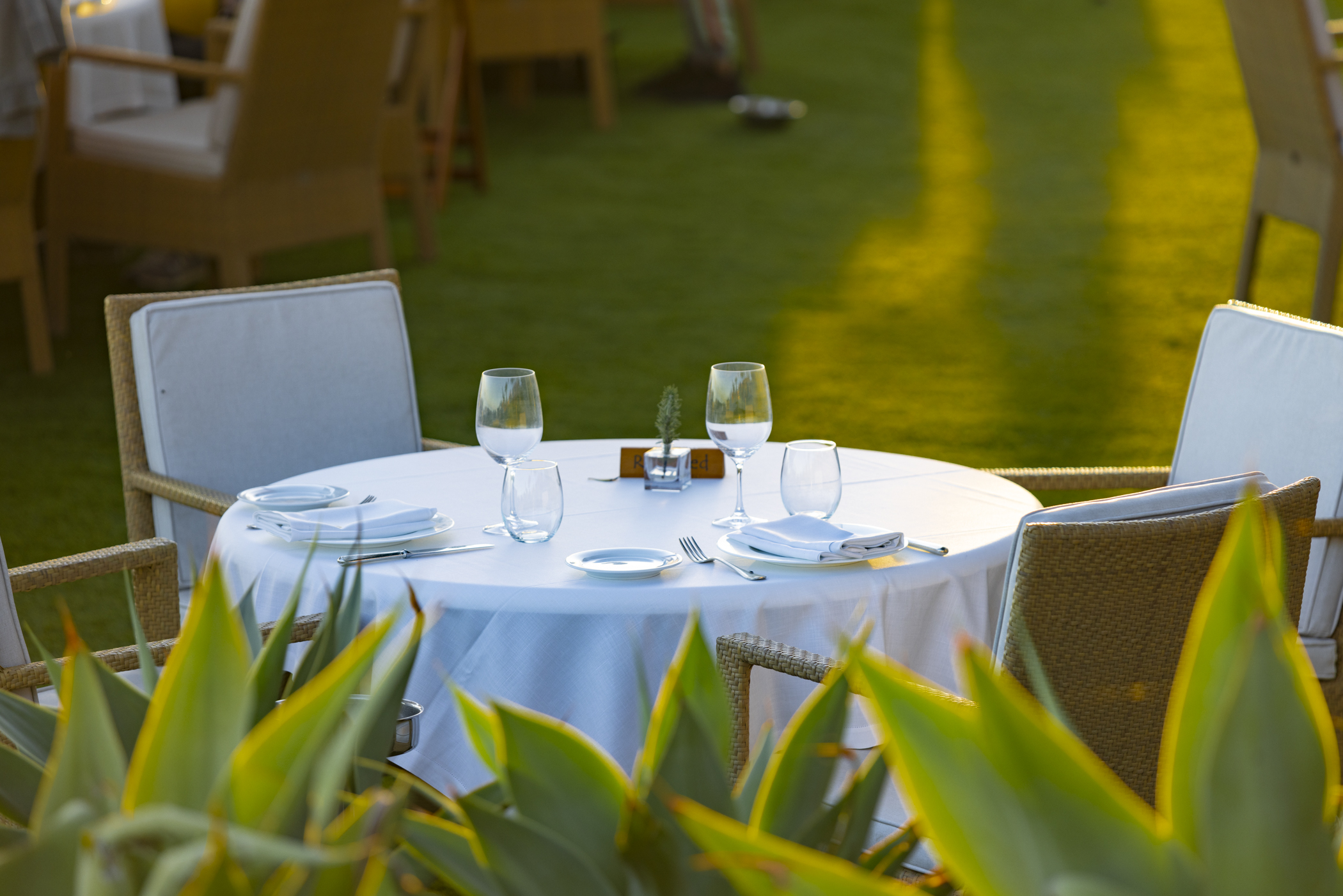 Las Dunas Grand Luxury
