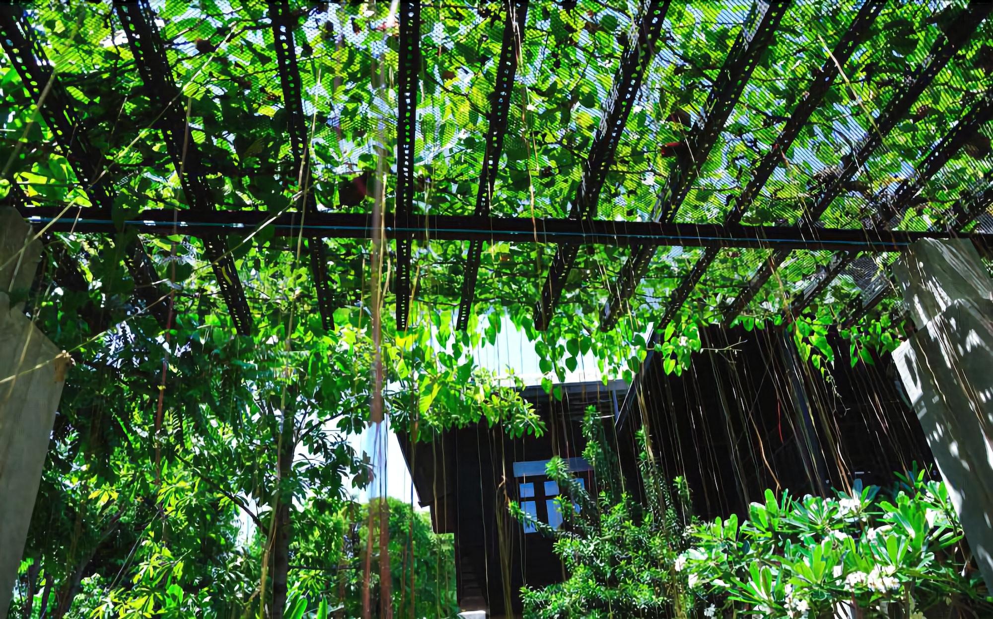 Baan Hanibah by null