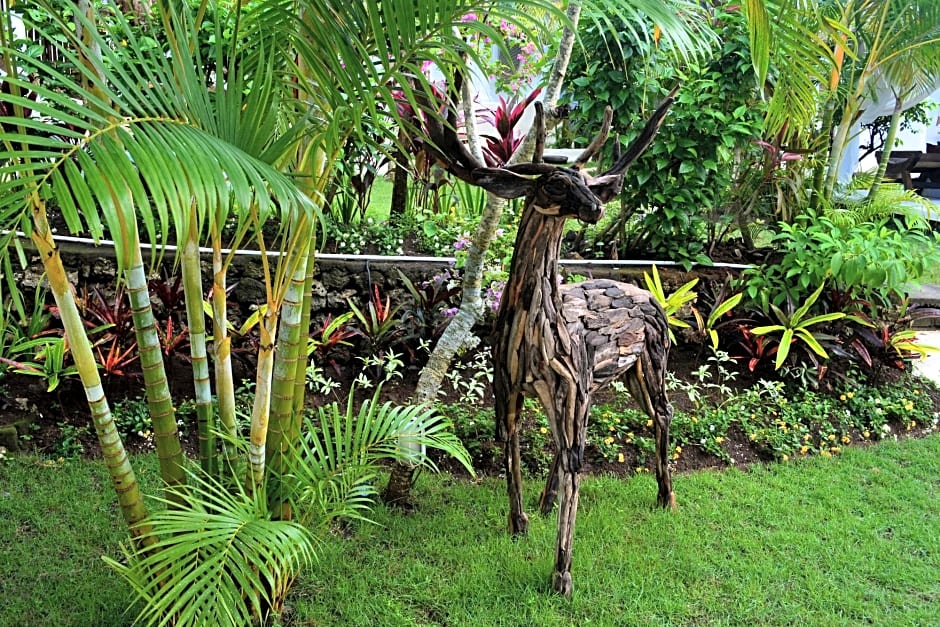 Sal Secret Spot - photo