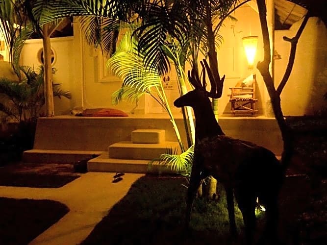 Sal Secret Spot - photo