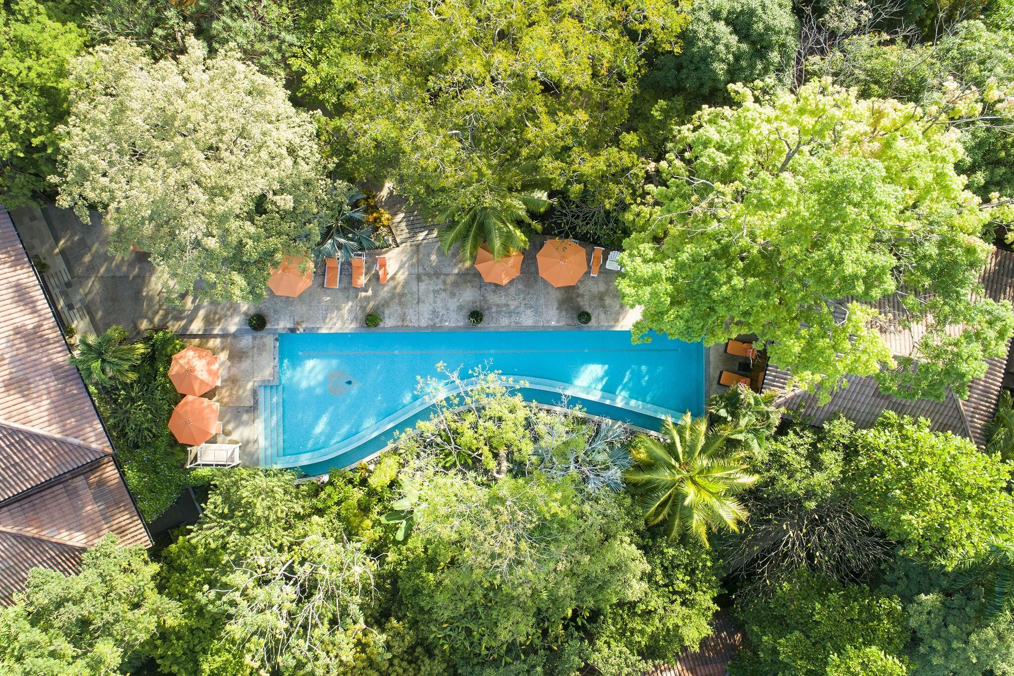 Bodhi Tree Yoga Resort by null