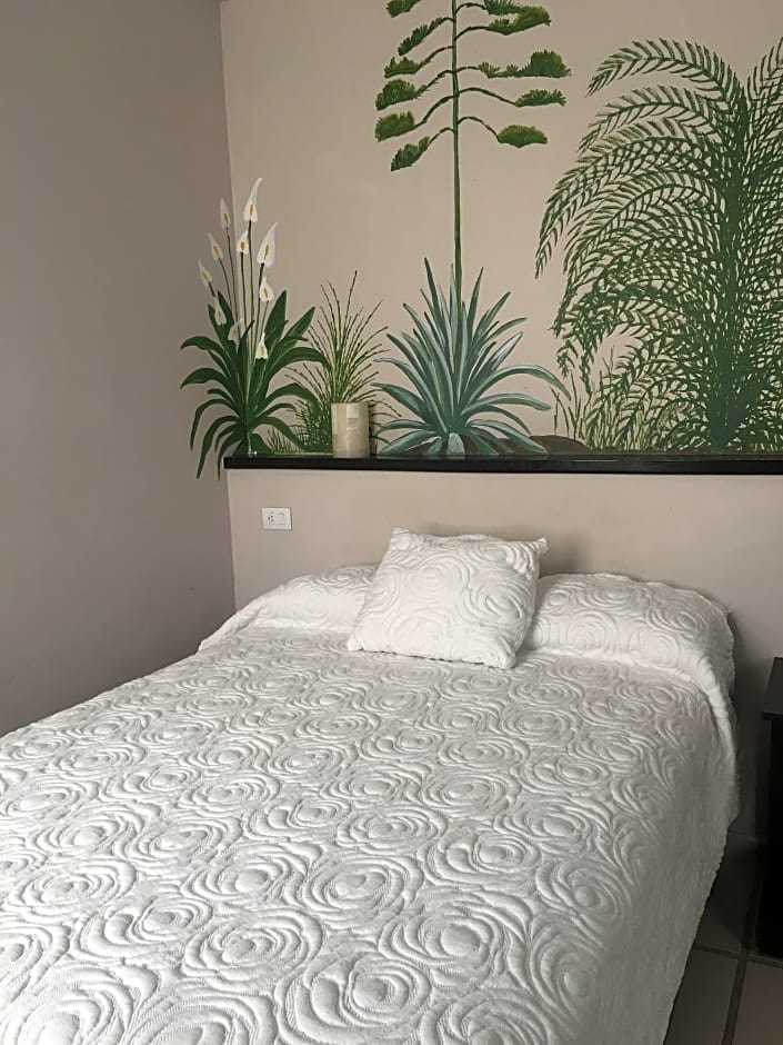 Hotel Casa Calli by null