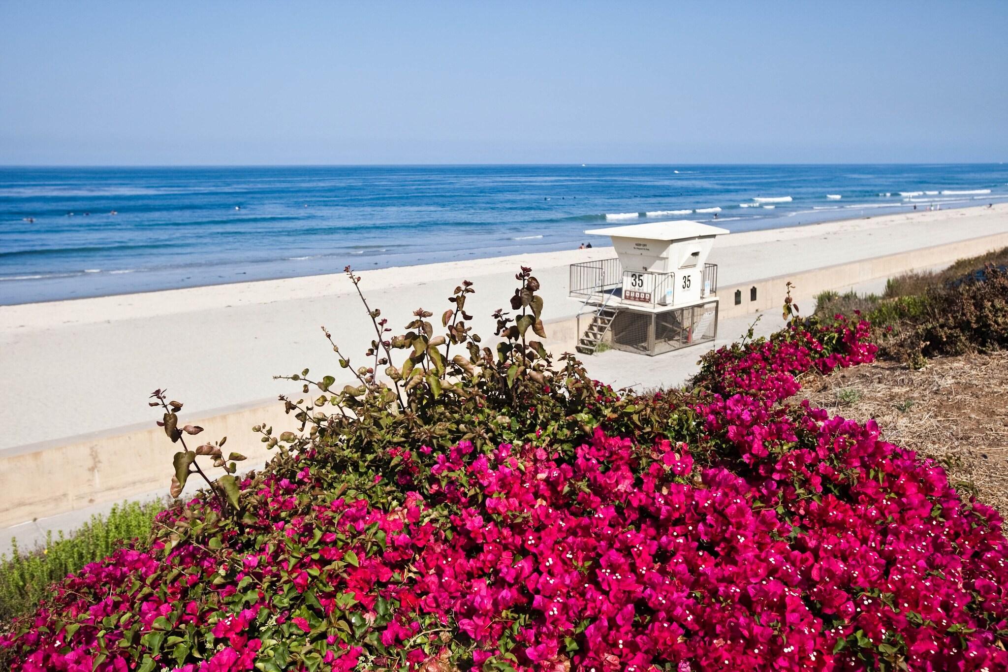 The Cassara Carlsbad, Tapestry Collection by Hilton by null