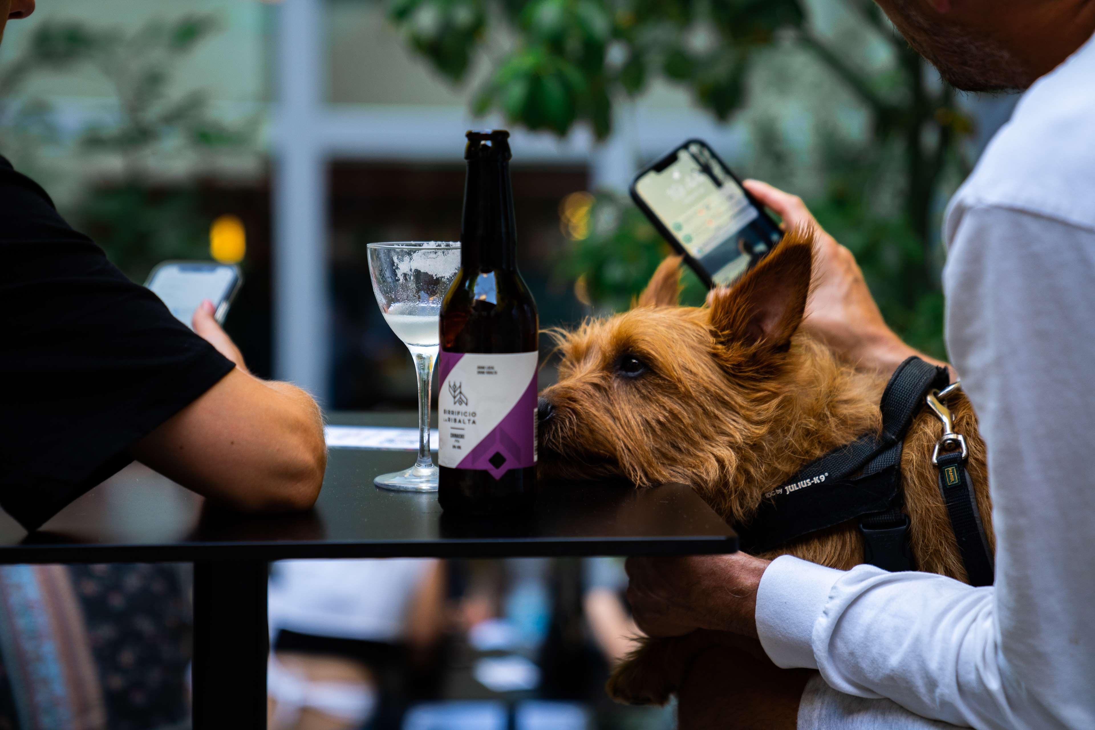 21 House of Stories Città Studi by null