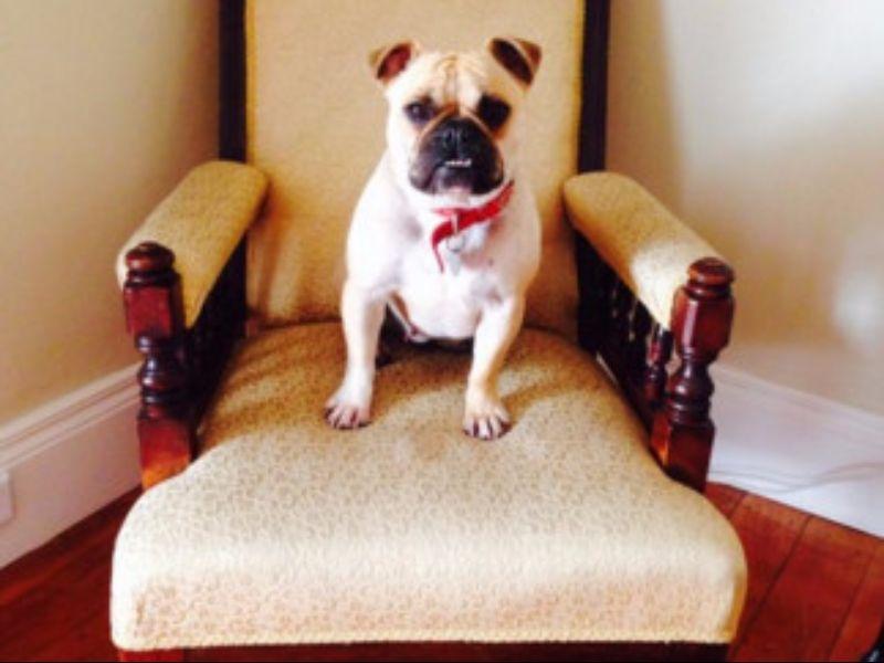 MONTACUTE BOUTIQUE BUNKHOUSE by null