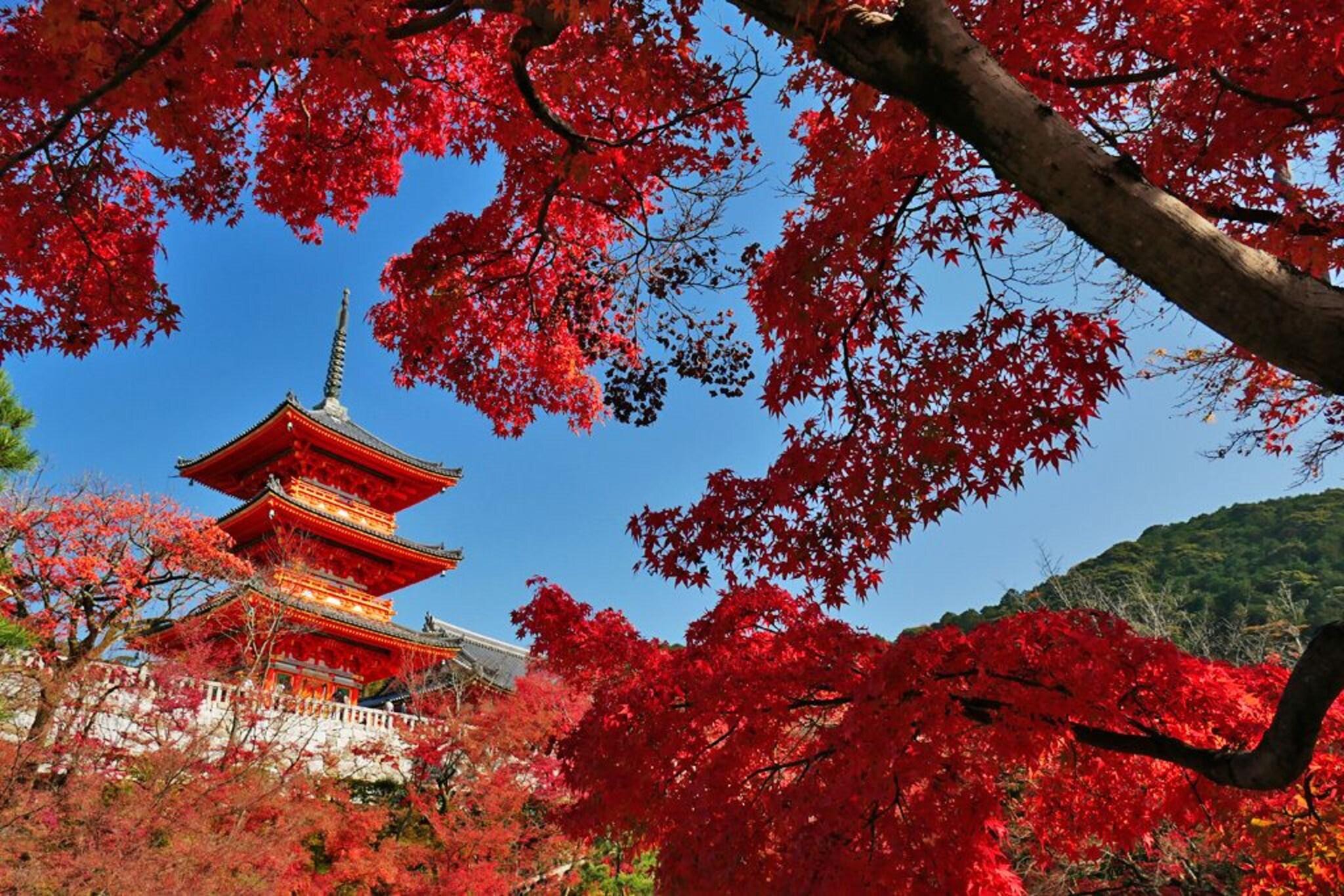 GRANBELL HOTEL KYOTO by null