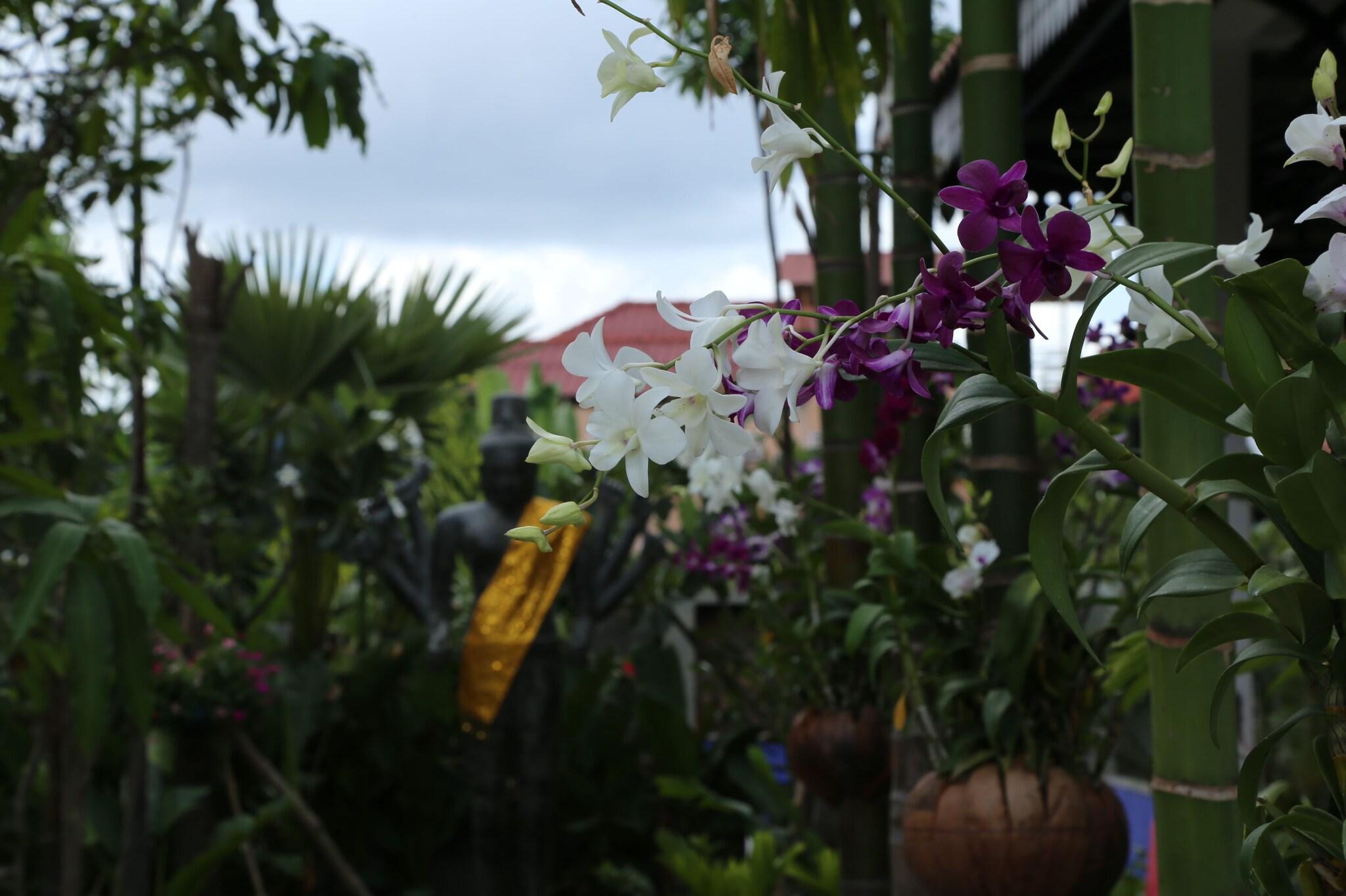 Khmer Mansion Boutique Hotel by null