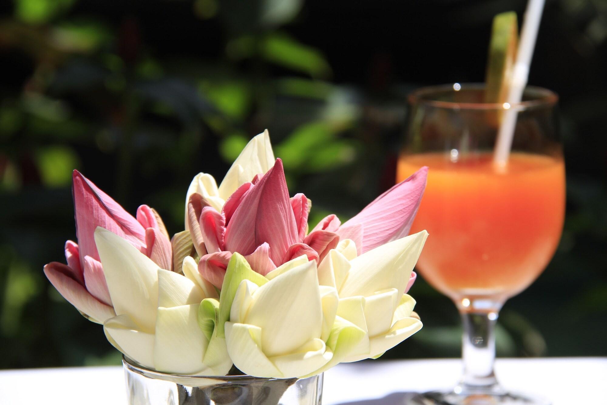 Cambana d'Angkor Suites by null