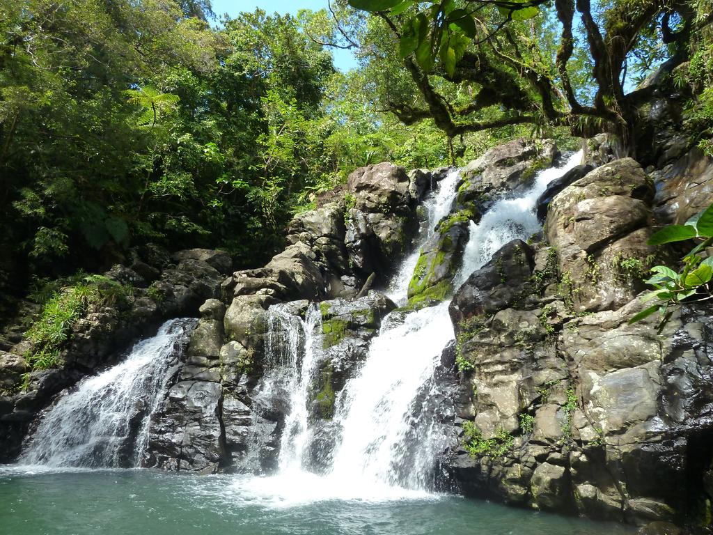 Maravu Taveuni Lodge