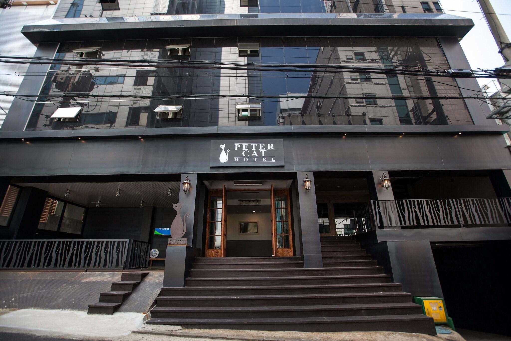 Petercat Hotel Sinchon (Hongdae)