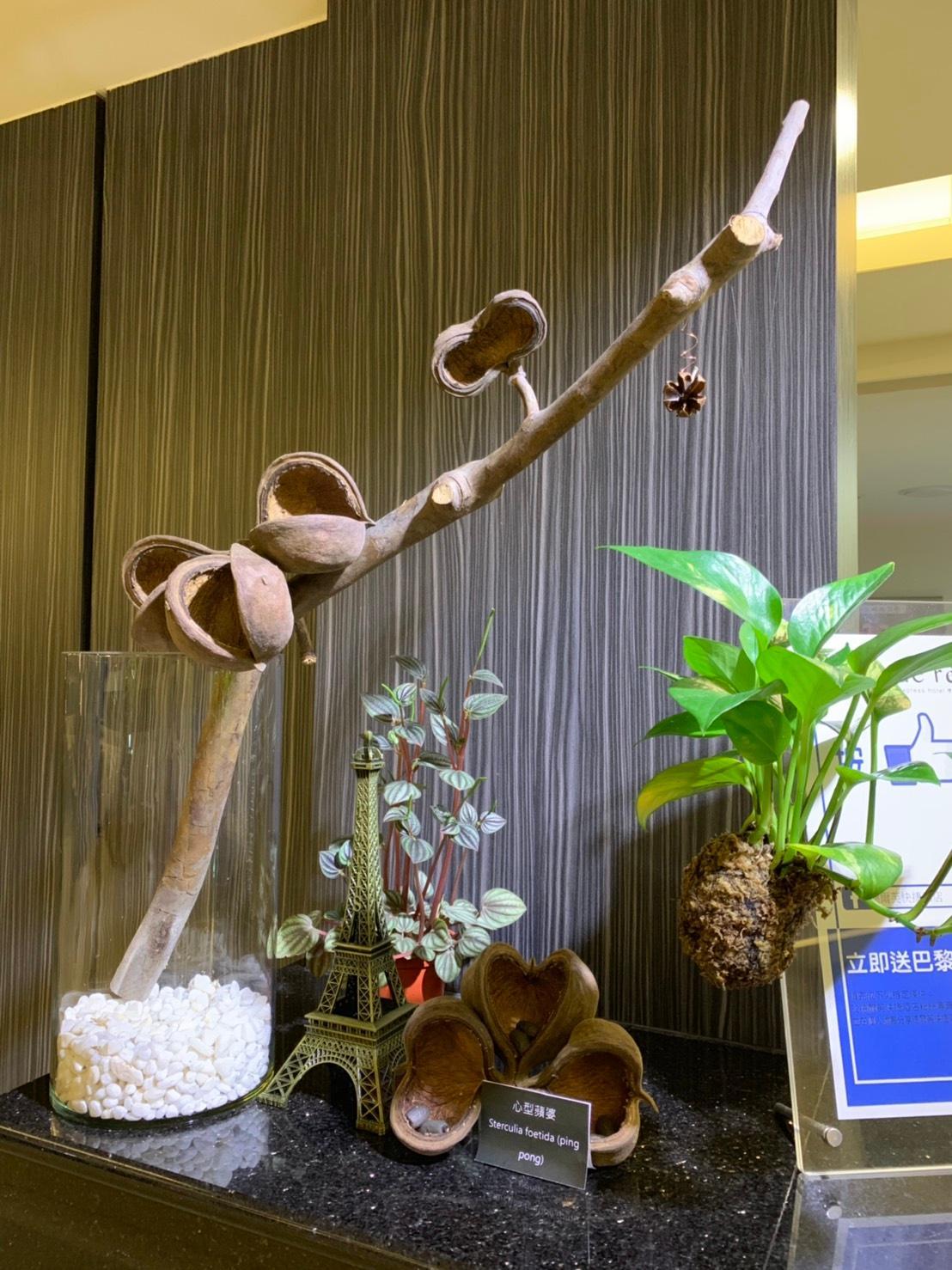 de reve Express Hotel