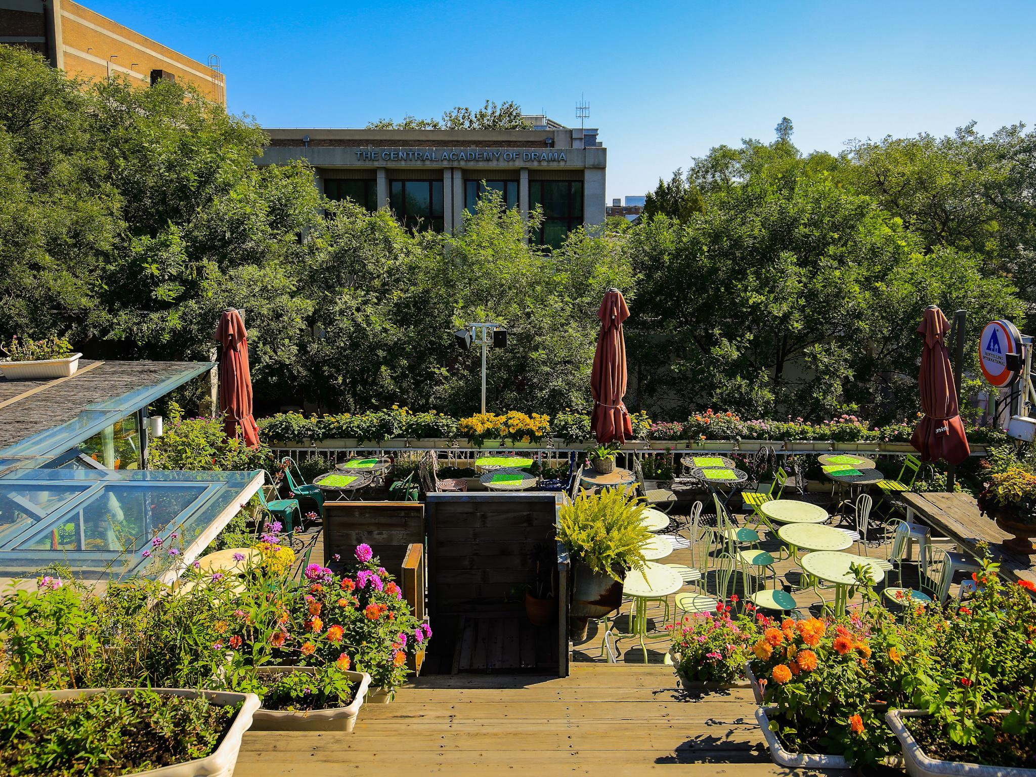 Peking International Youth Hostel