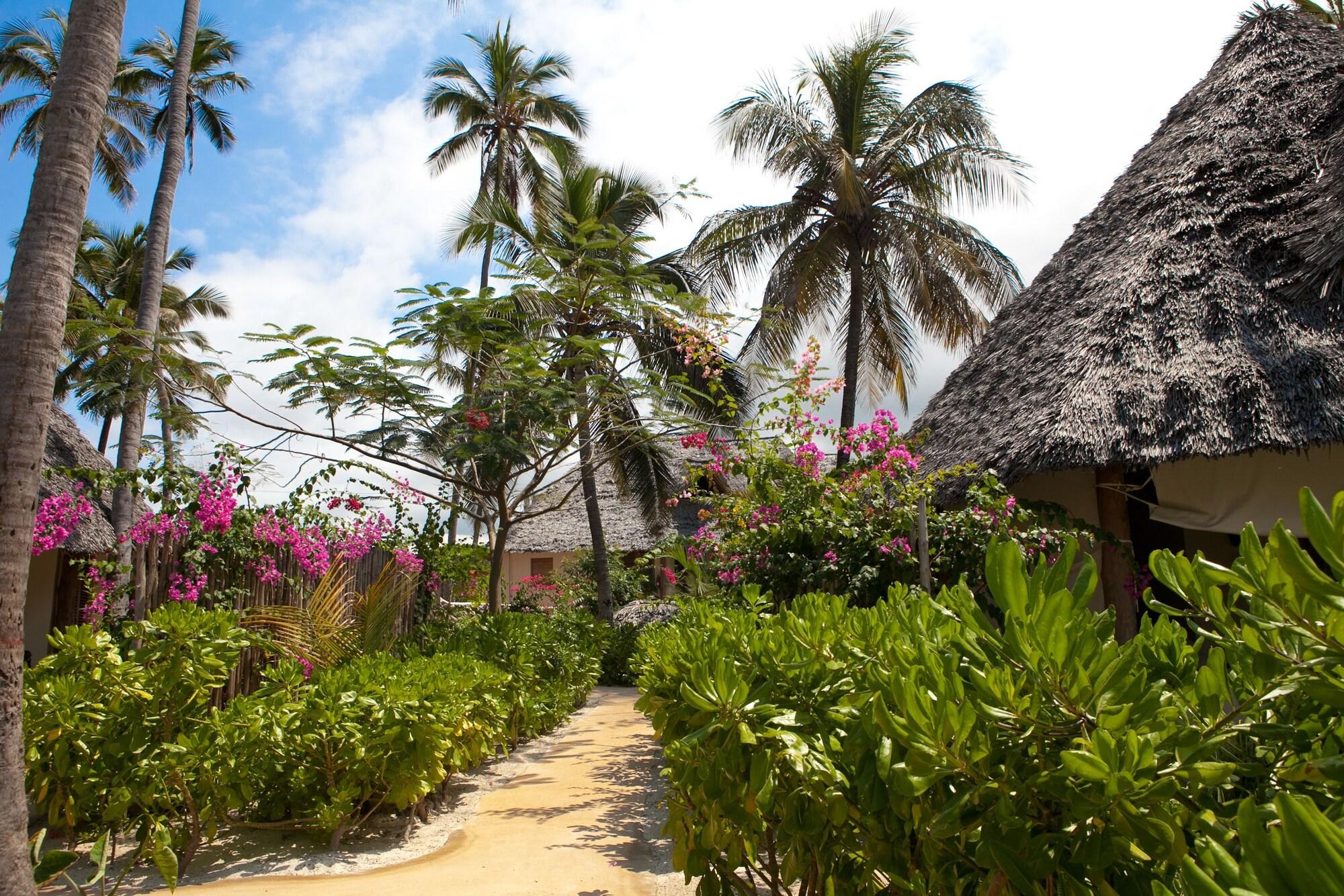 Sevi Boutique Hotel - photo