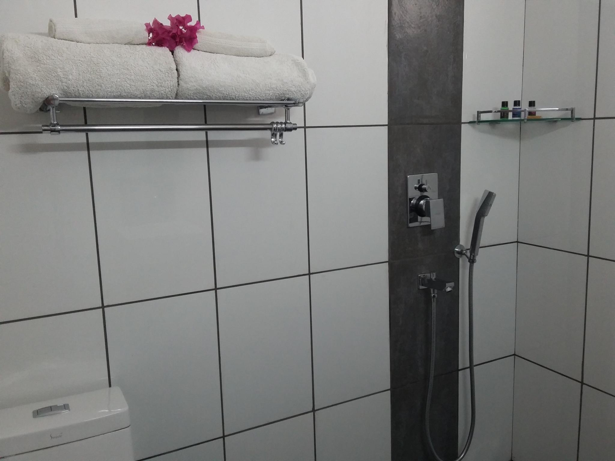 The Red Pier by Downtown Udaipur by null