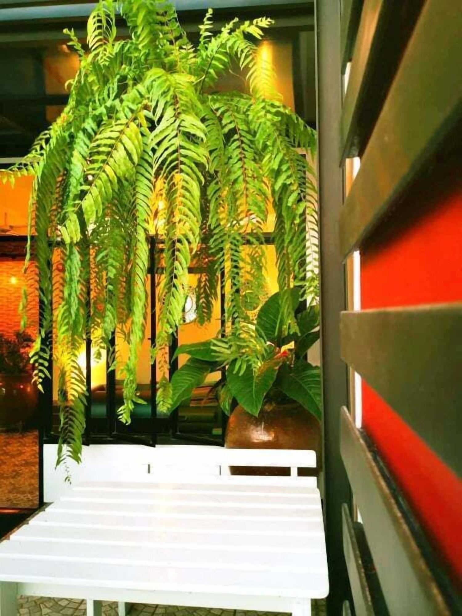 Beach Gallery House