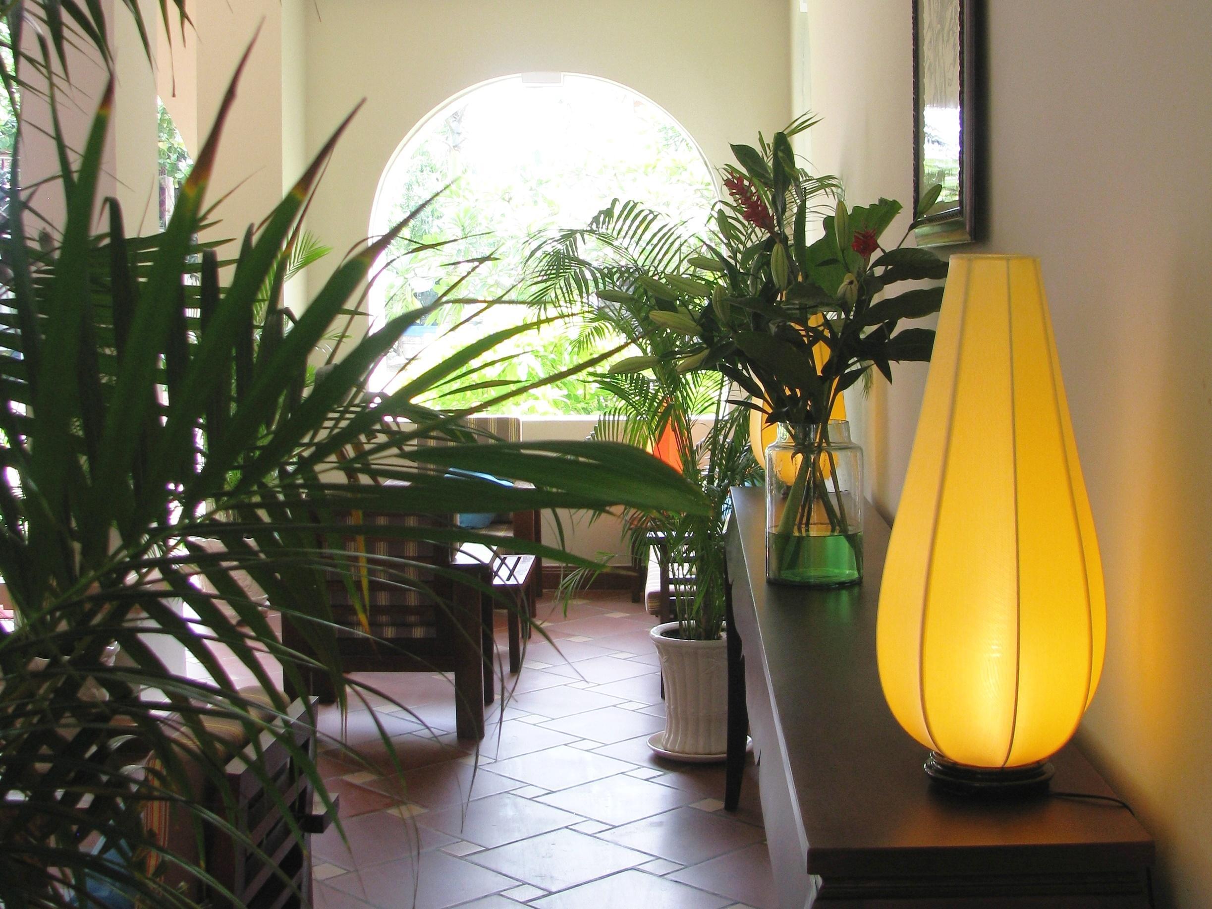 Vuon Tra Resort