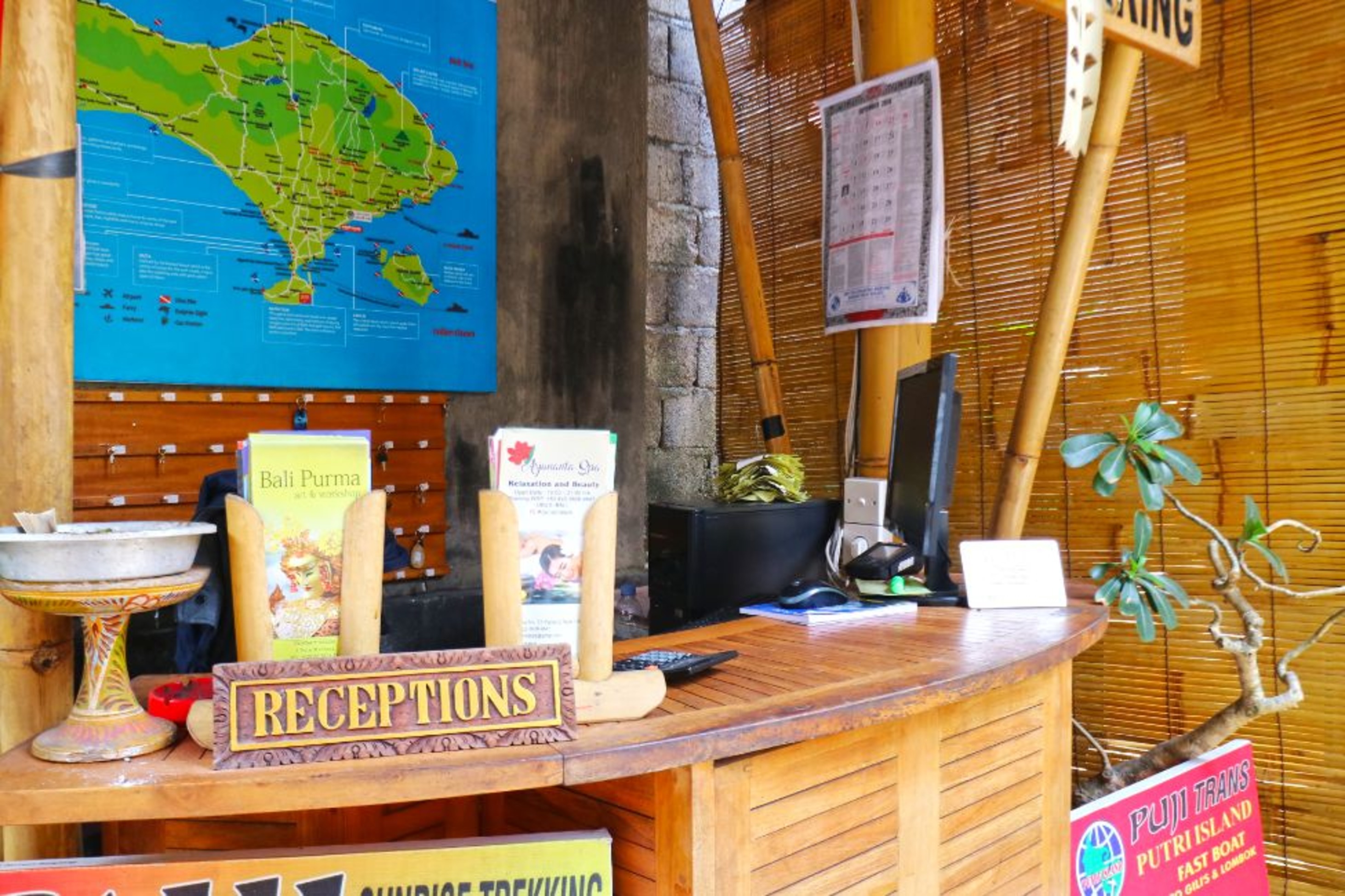 New Ubud Hostel