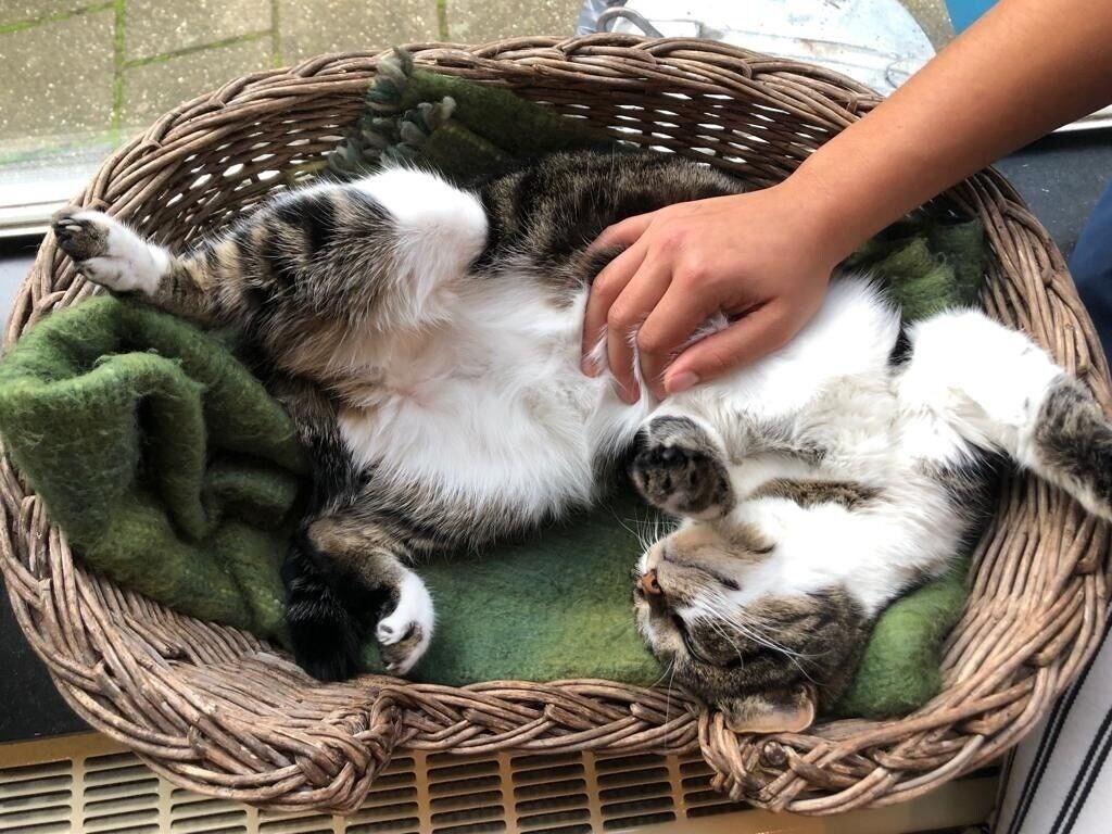 Pension Homeland by null