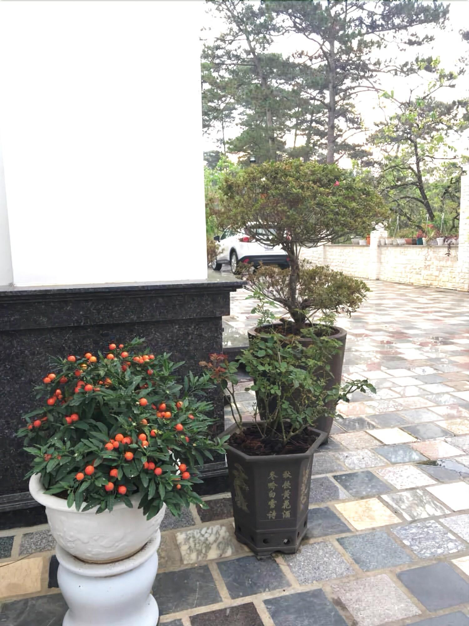 Queen Villa Hotel