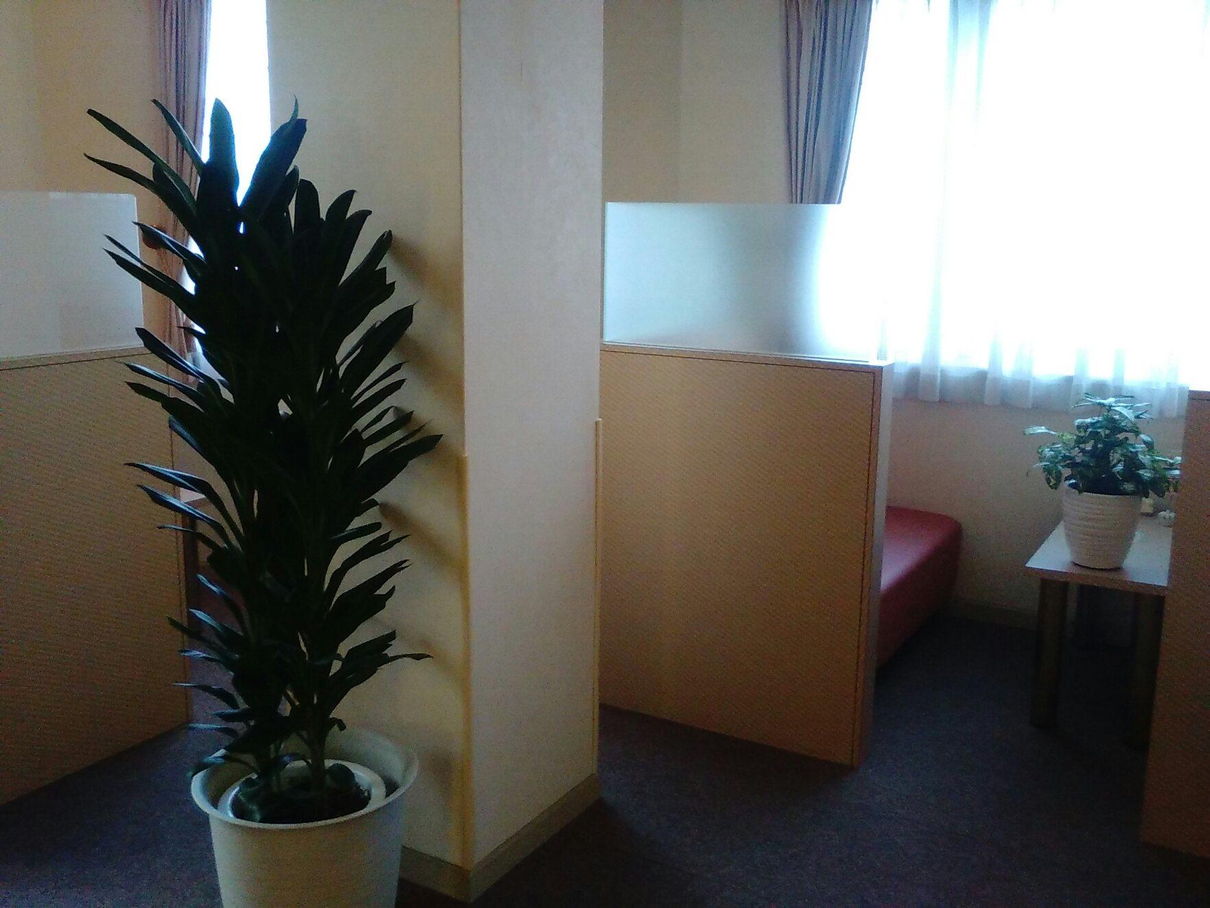 Vega Takamatsu Adult Only