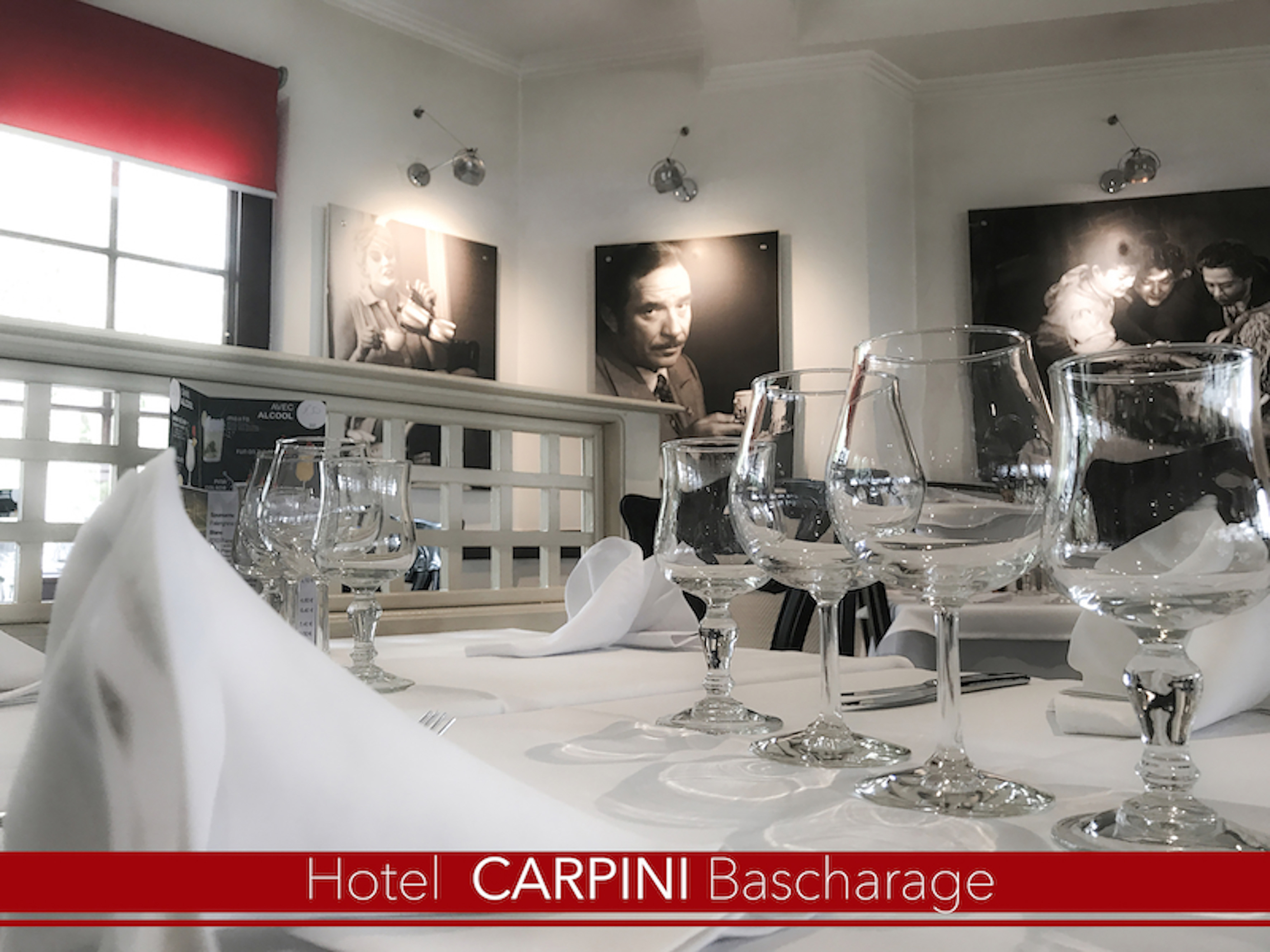 CARPINI