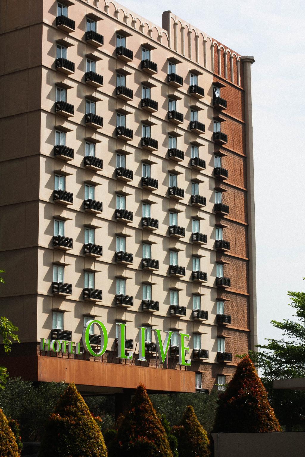 Hotel Olive image