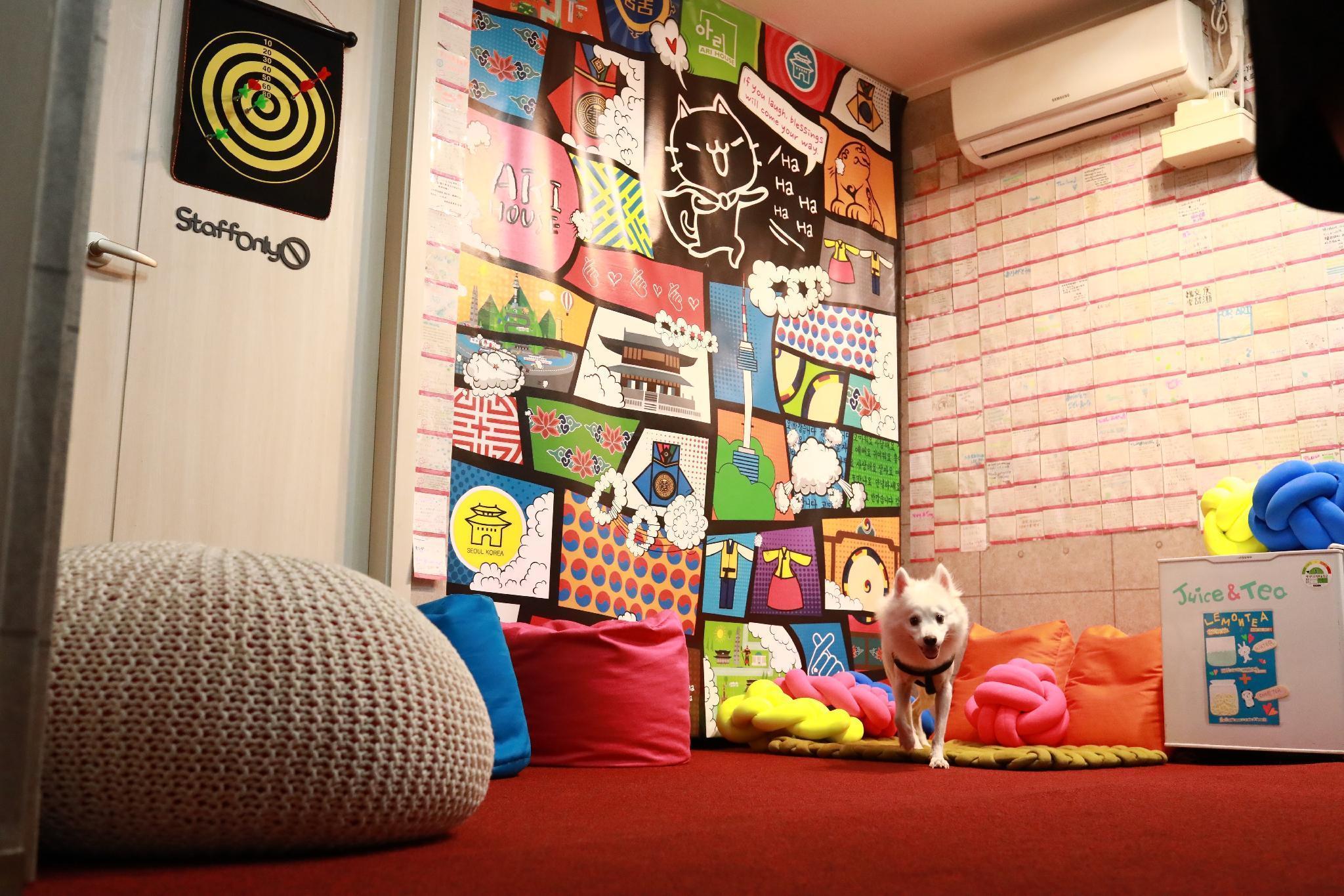 ARI GUESTHOUSE FOREIGNER ONLY