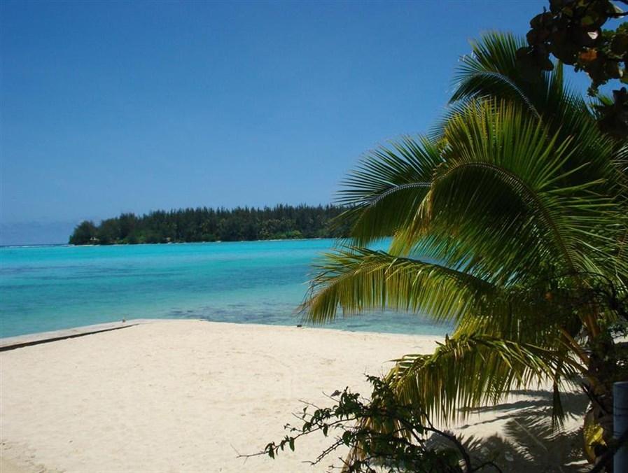 Hotel Hibiscus by null