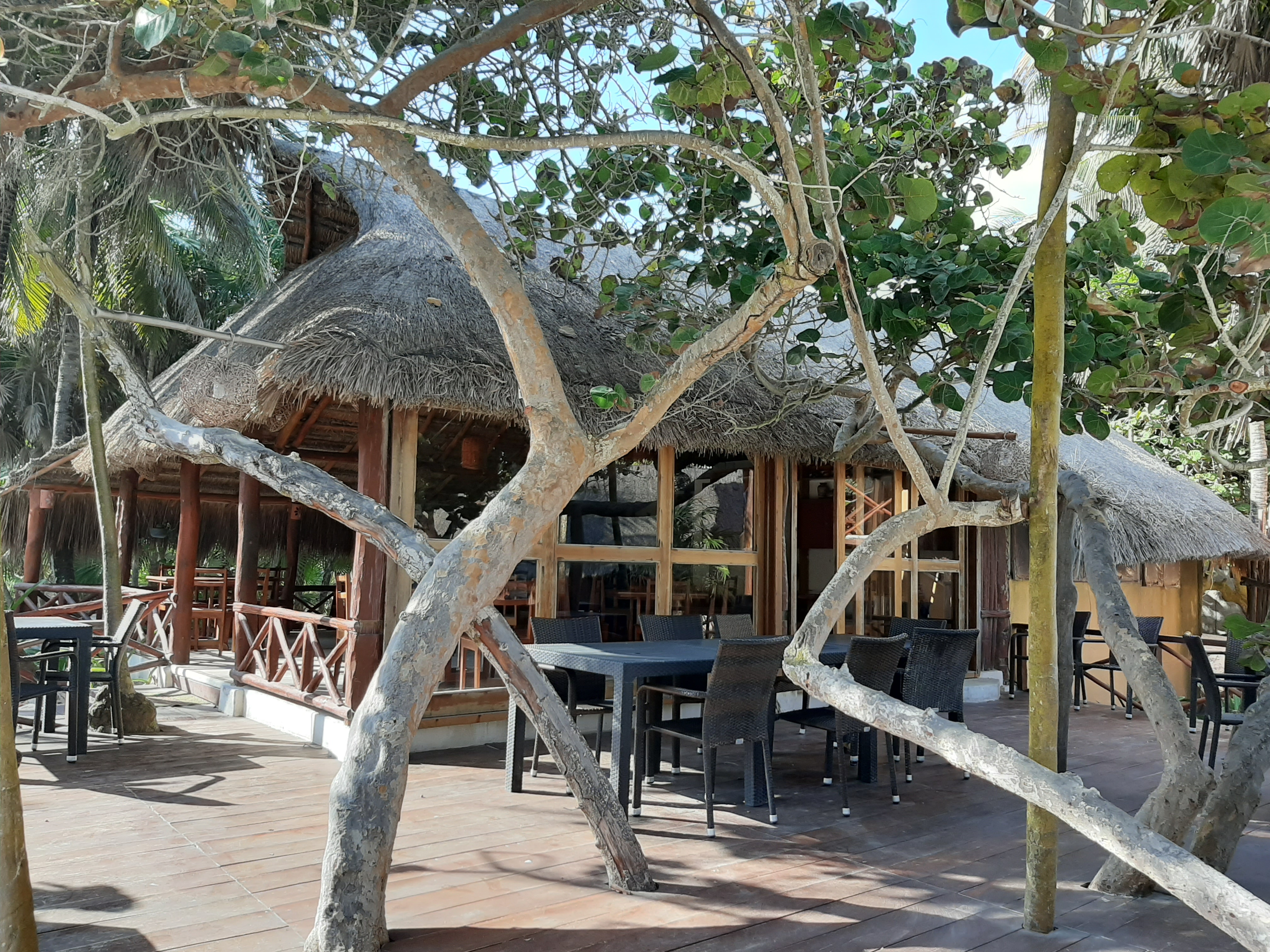 Bt Live Tulum
