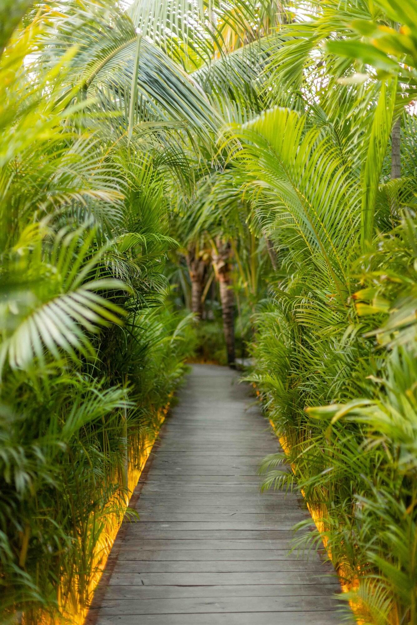 Radhoo Tulum by null