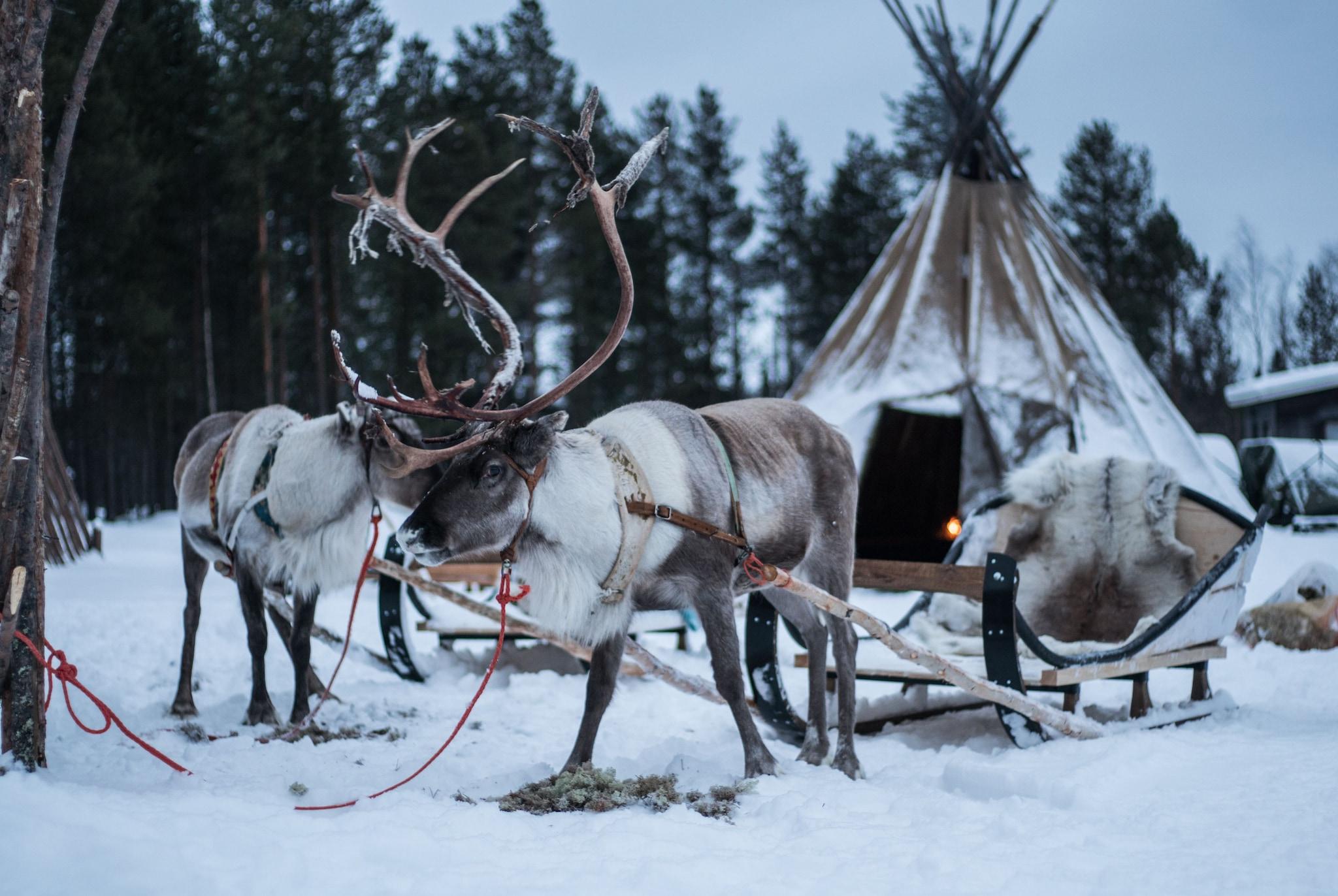 Aurora Village Oy by null