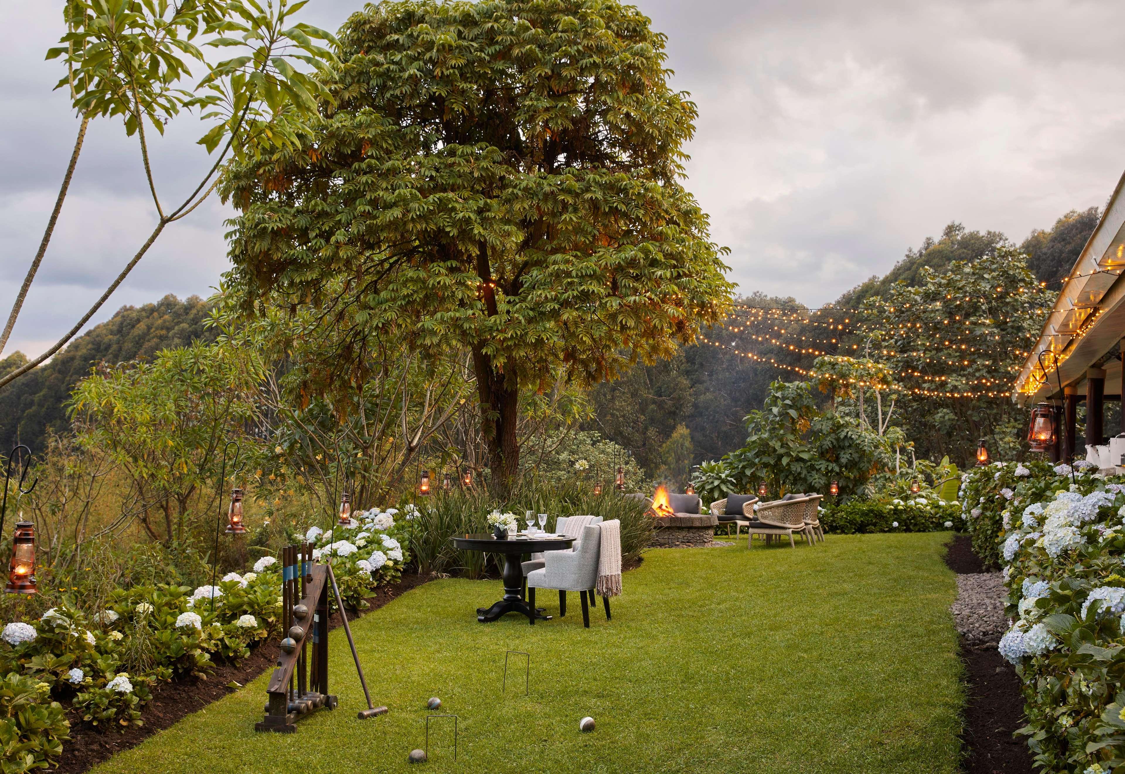 One&Only Gorilla's Nest by null