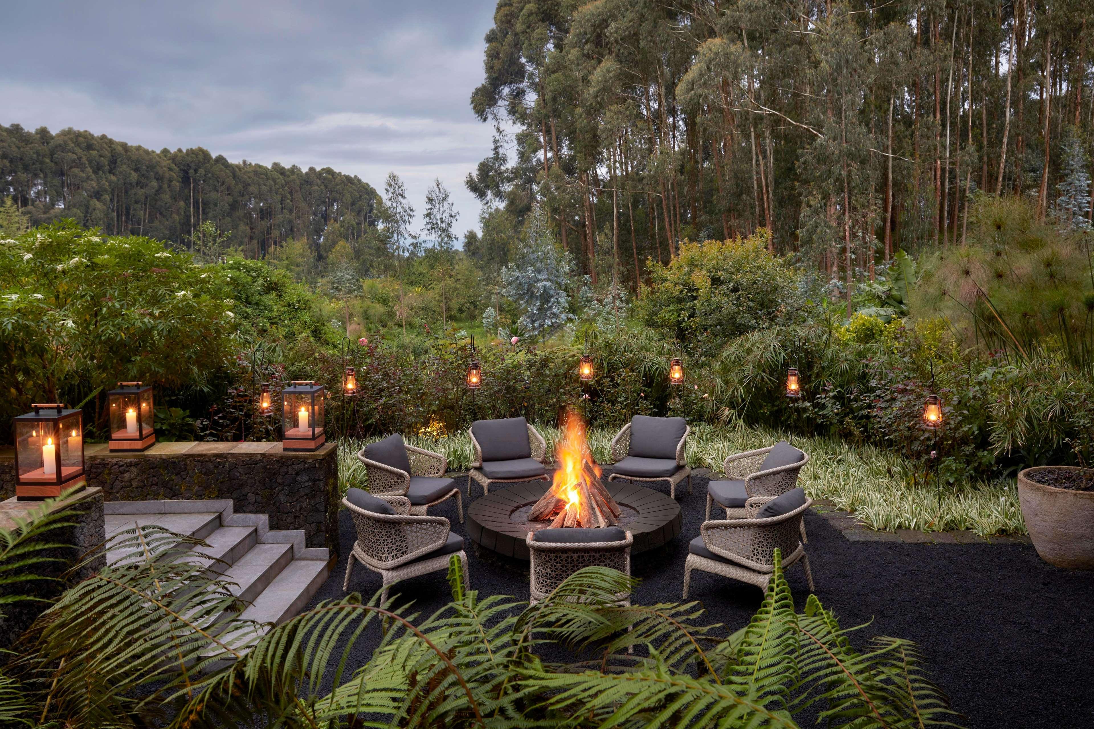 One&Only Gorilla's Nest by null