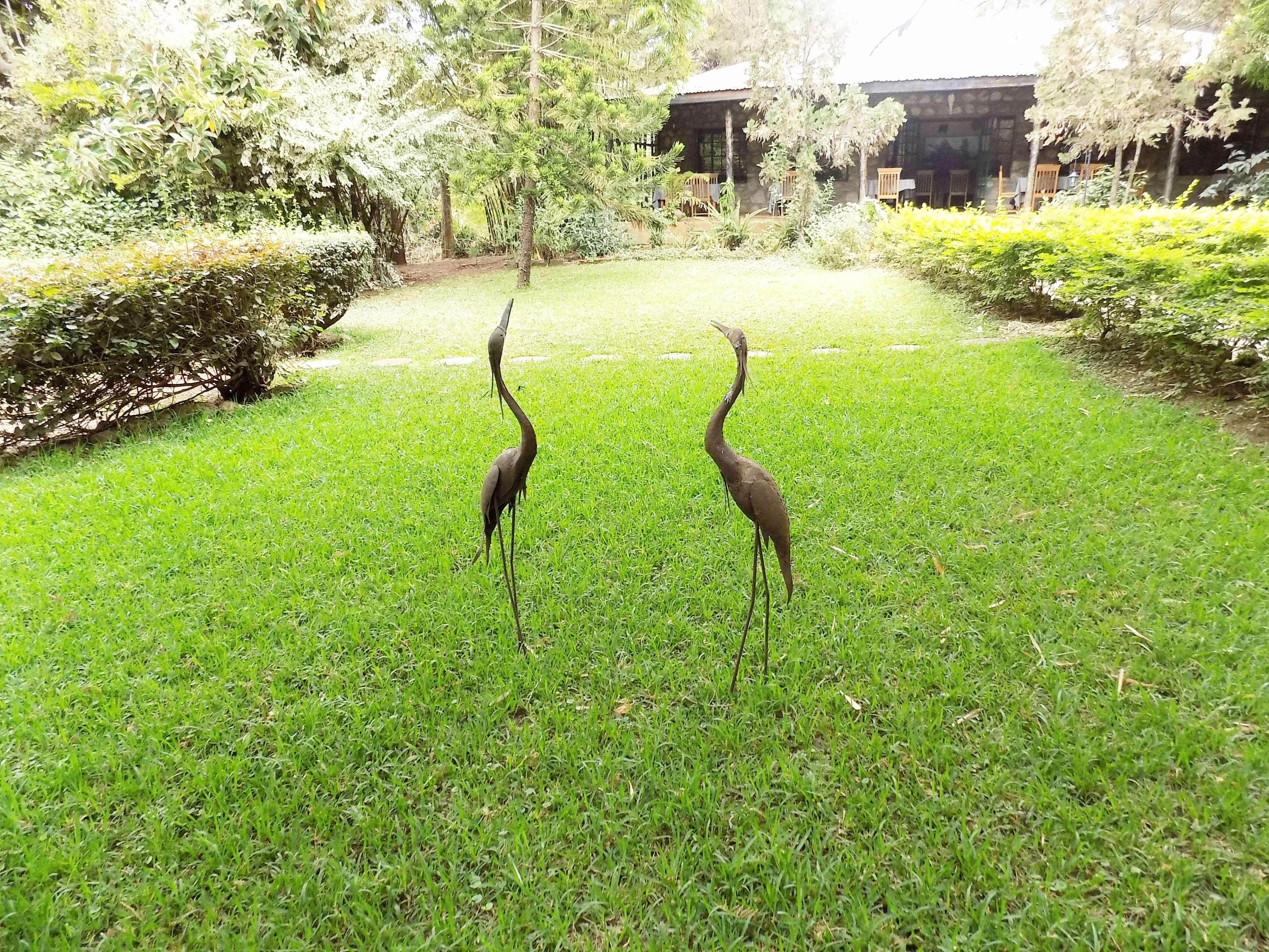 Octagon Lodge by null