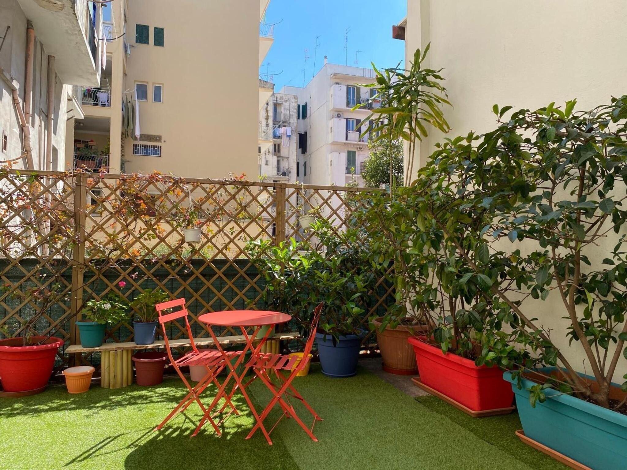 Olive Tree Hostel by null