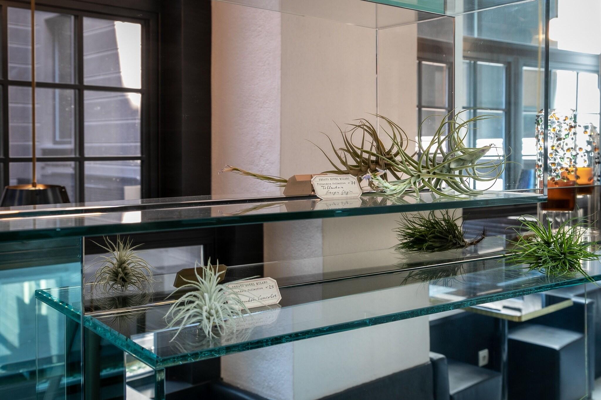 Senato Hotel Milano by null