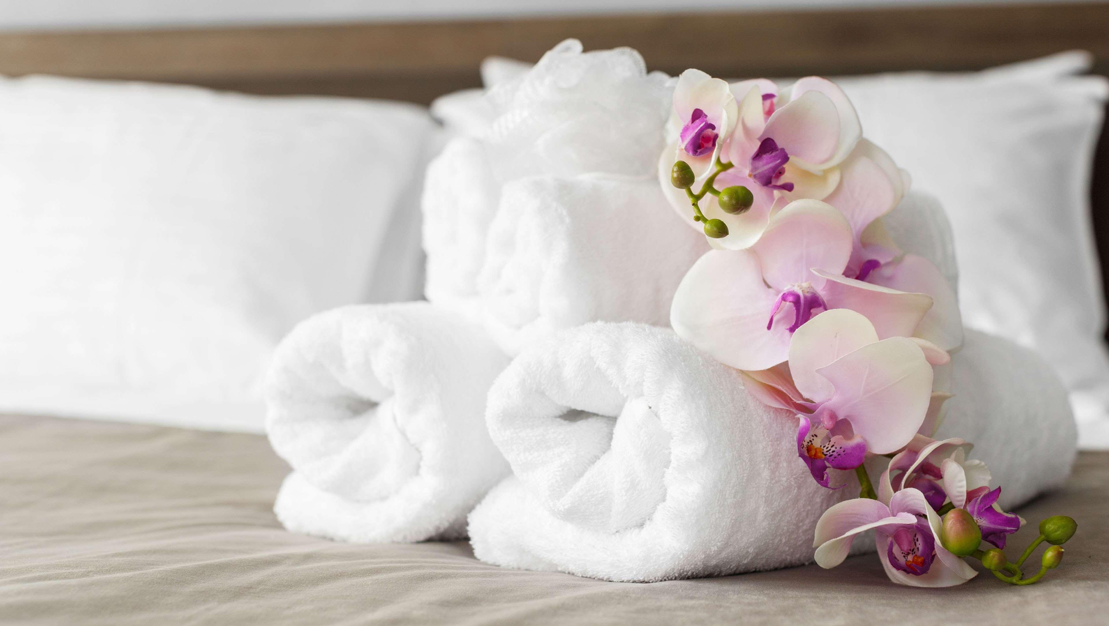 Express Inn Newport News