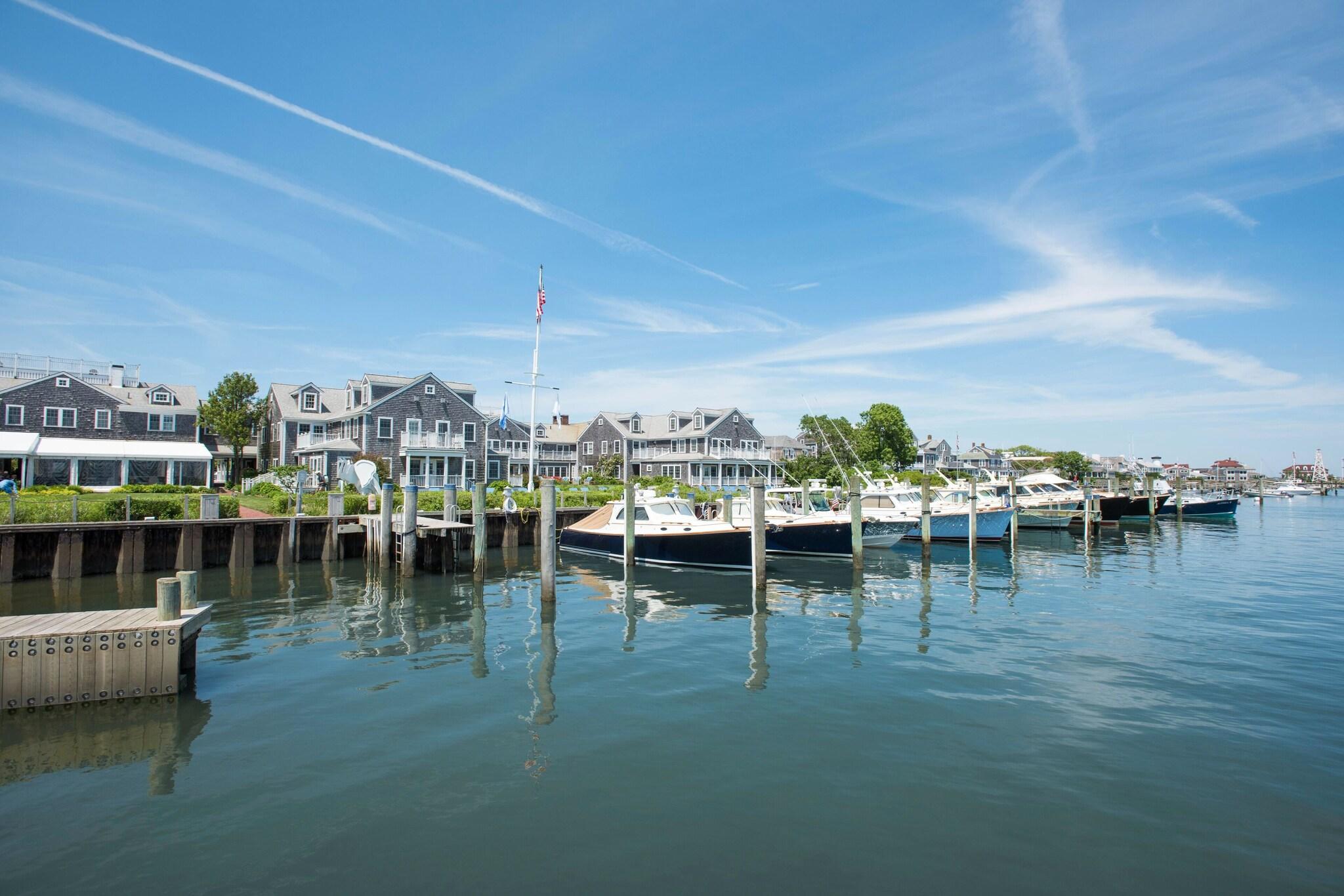 White Elephant Nantucket by null