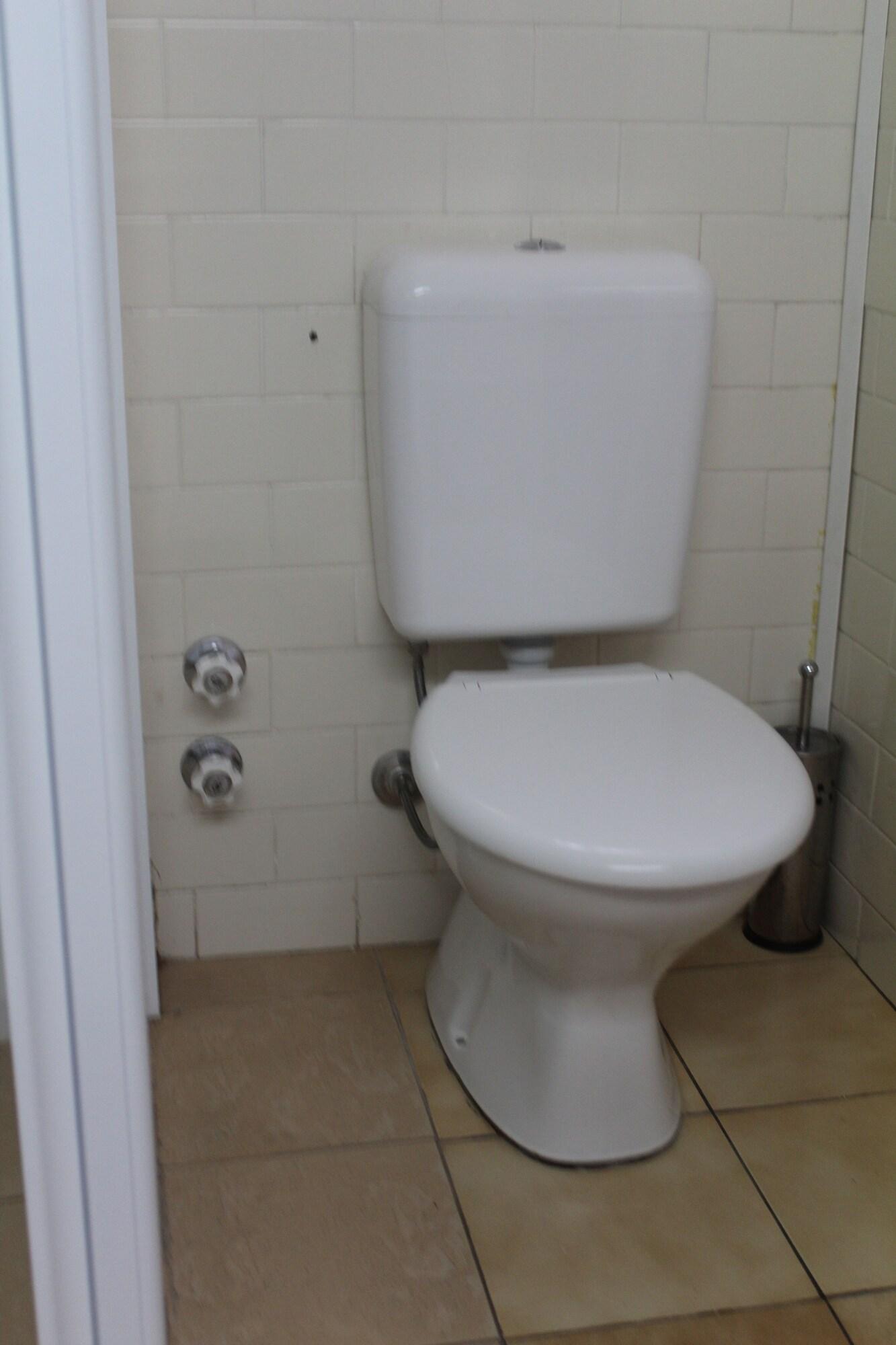 Shearing Shed by null