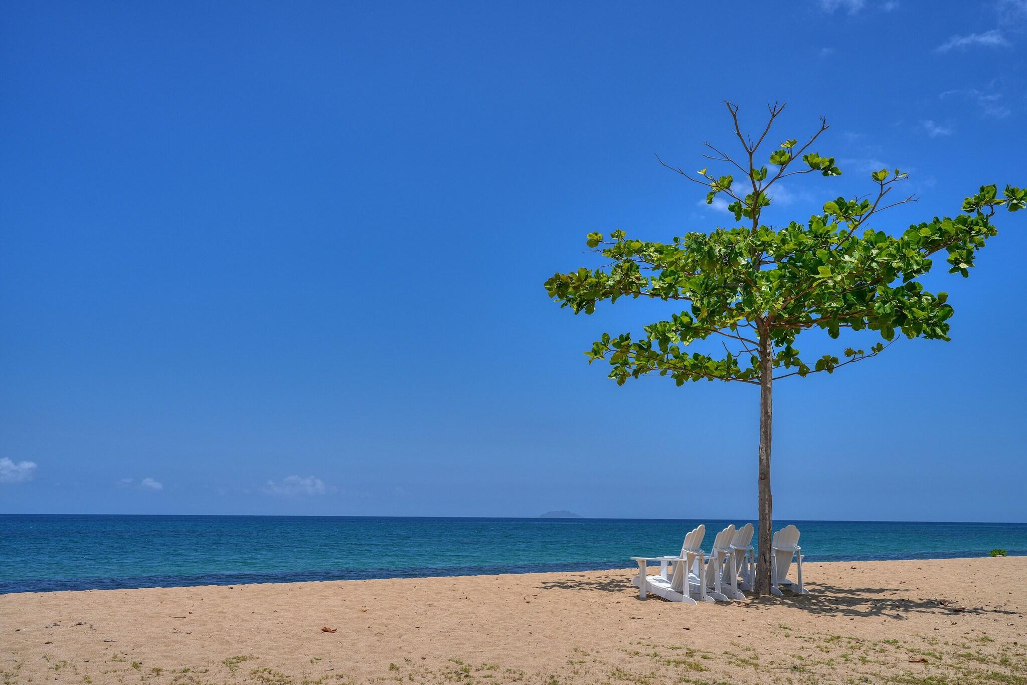 Rincon Of The Seas Grand Caribbean Hotel by null
