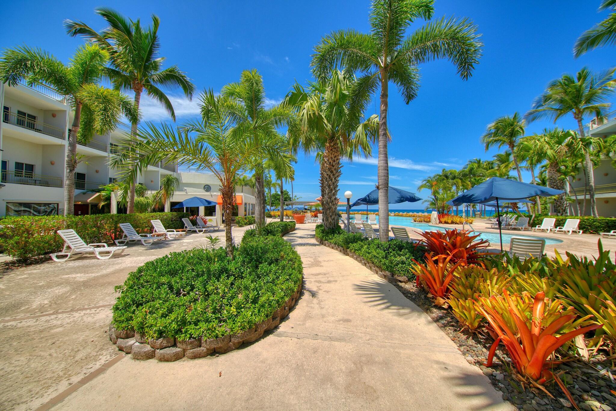 Rincon Of The Seas Grand Caribbean Hotel by null