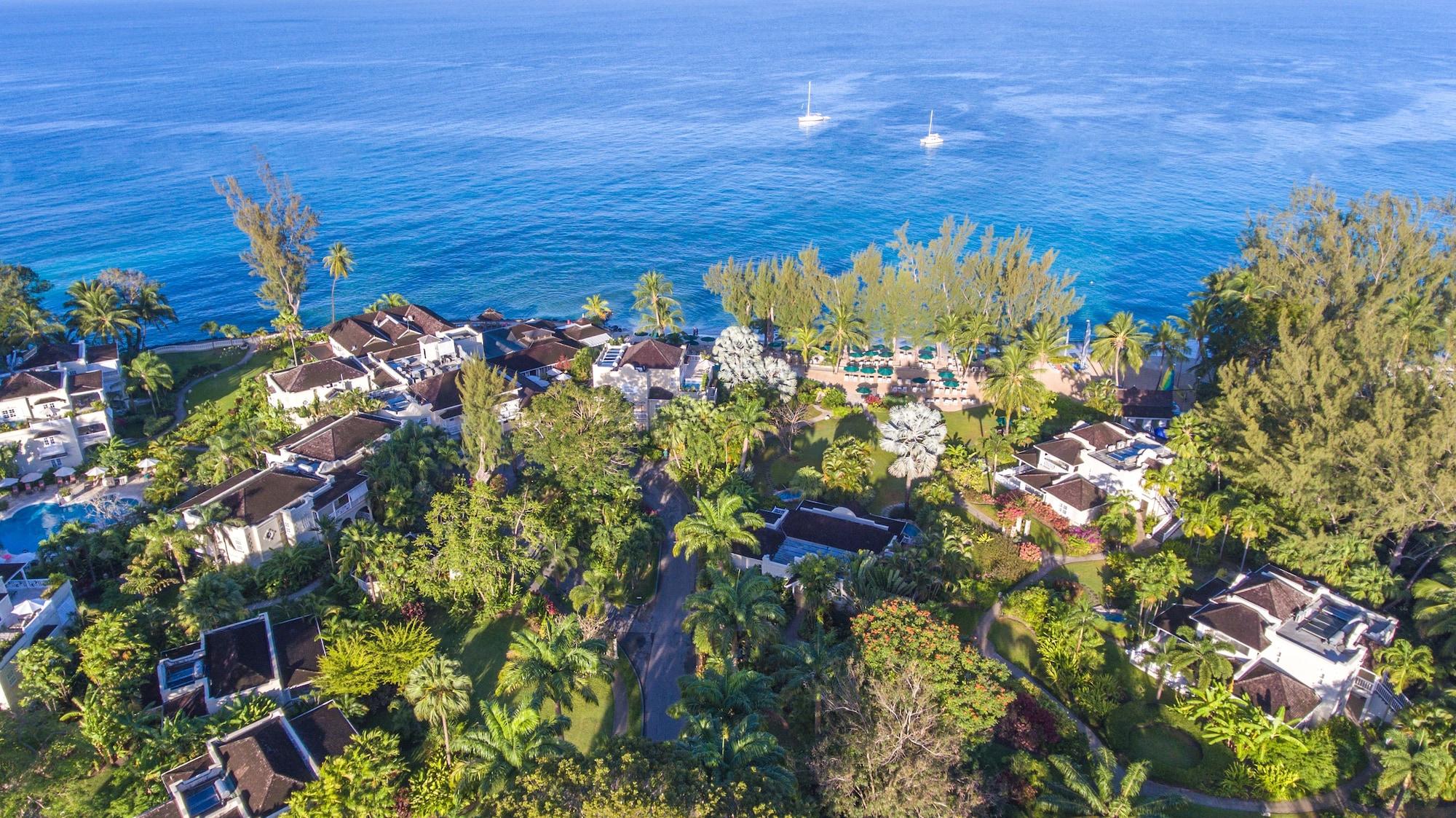 Coral Reef Club by null