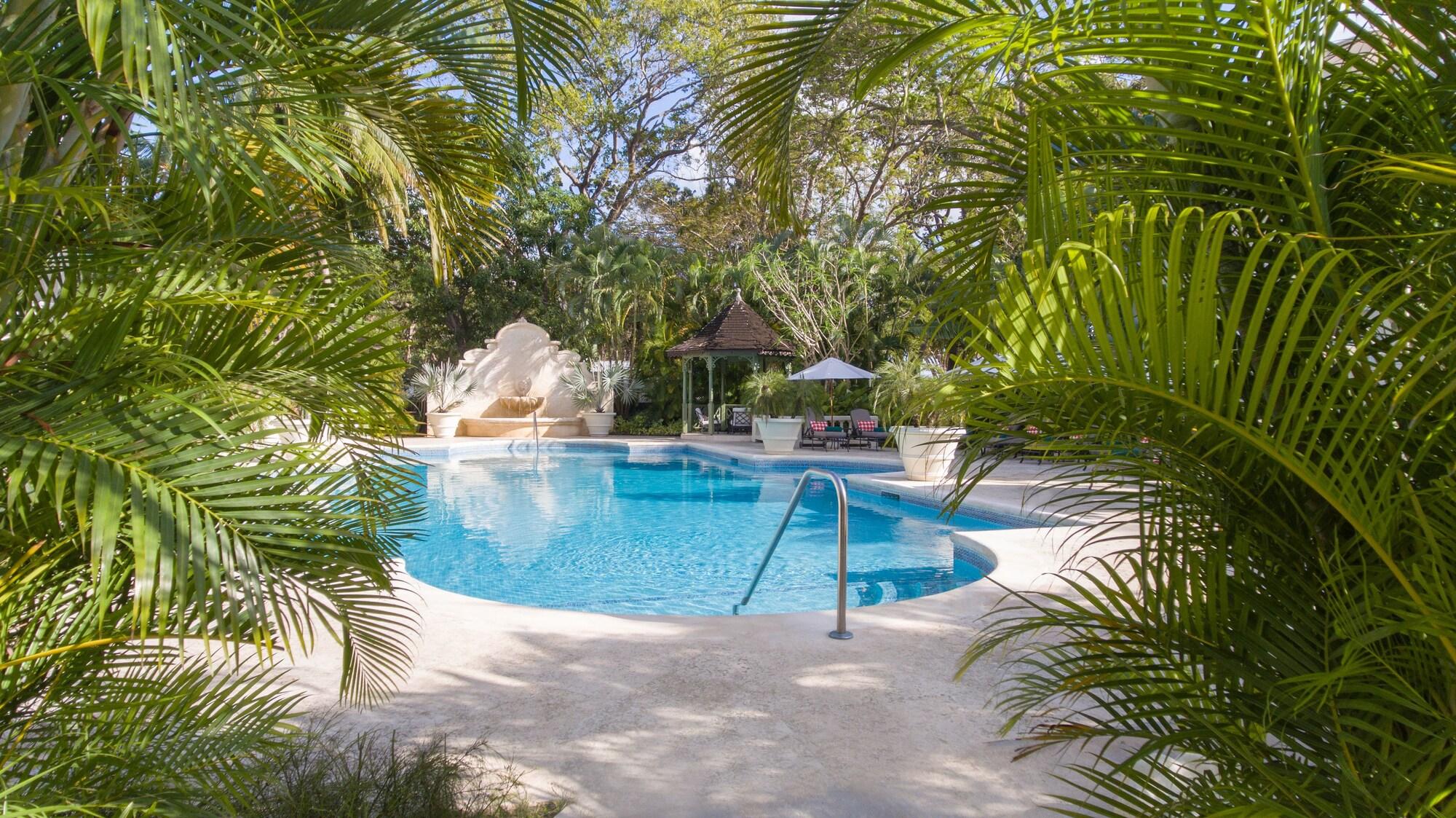 Coral Reef Club by null