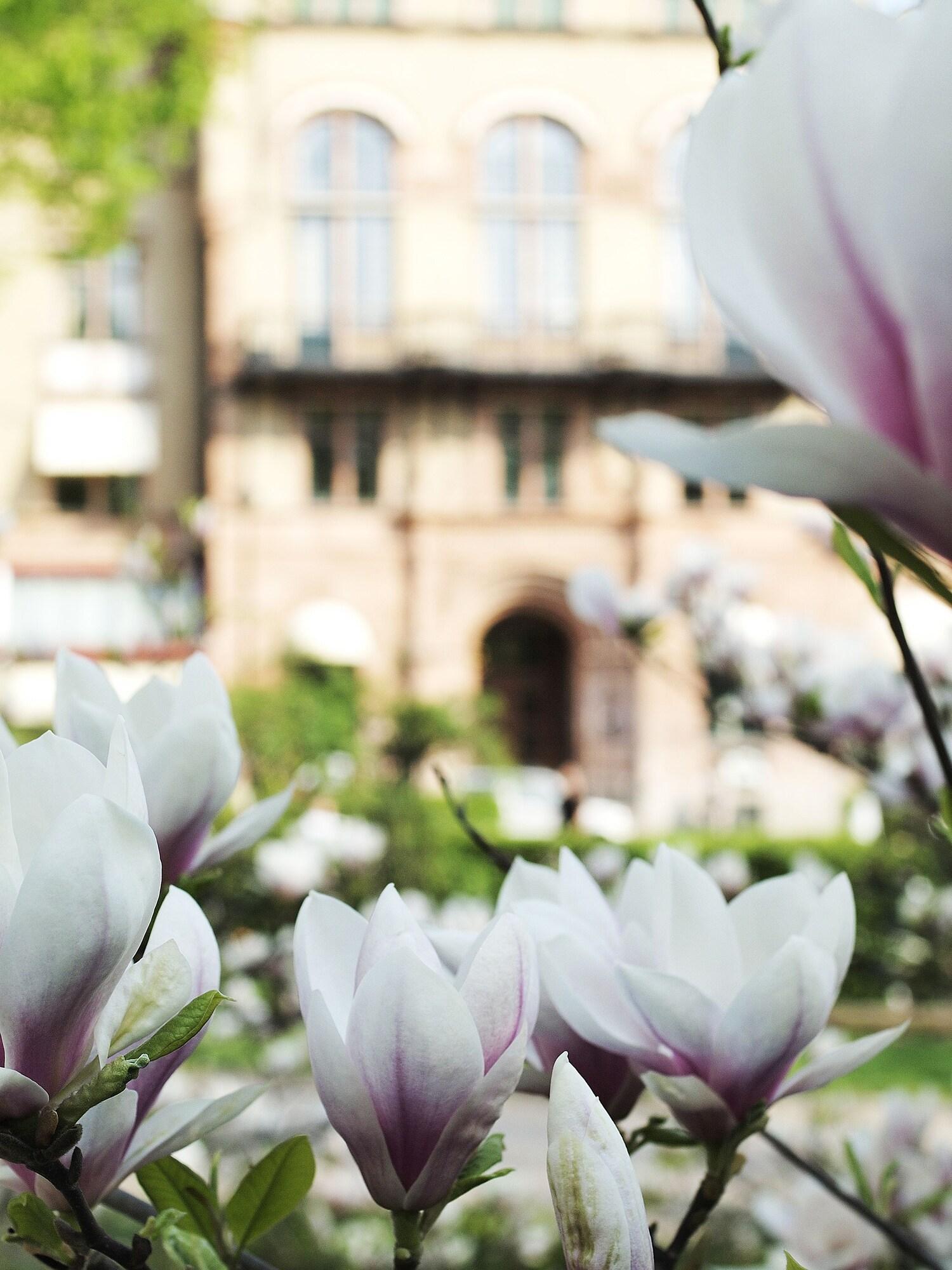 Grand Hotel Lund by null
