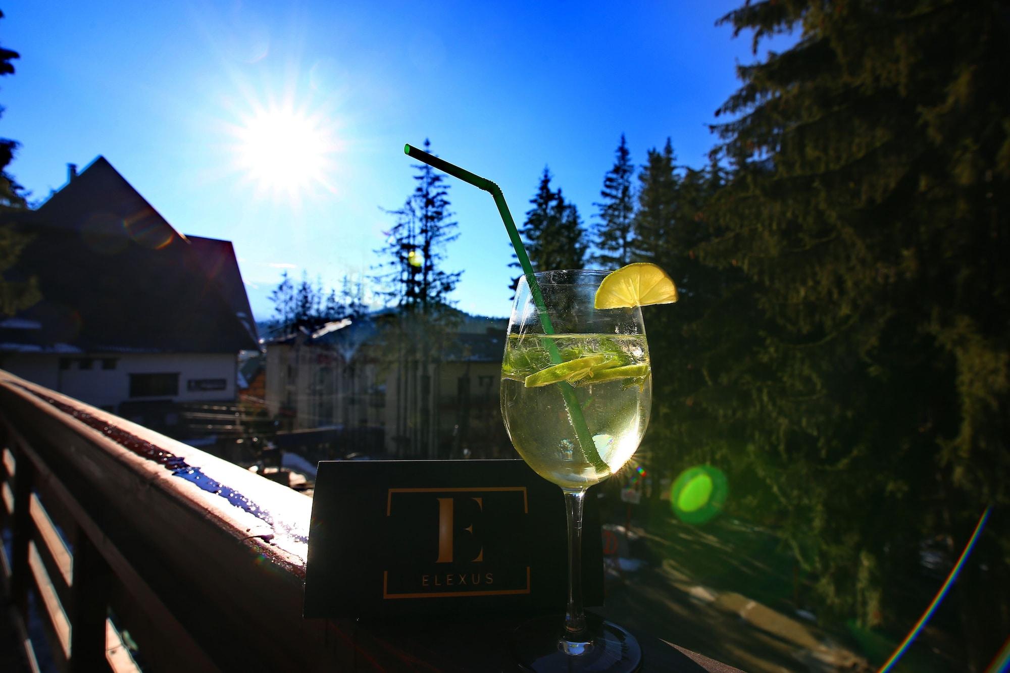 Elexus Hotel Predeal