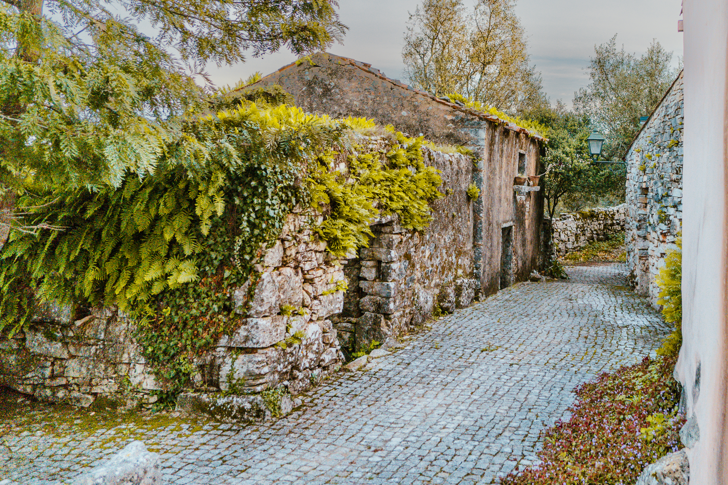 Villa Pedra Natural Houses by null