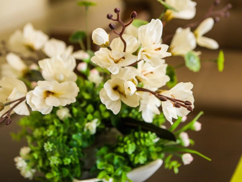 Greentree Inn Nantong Rugao Zhongjiaomeilu City Ex